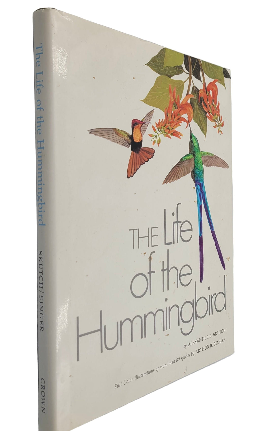 Behind the Find: The Life of the Hummingbird (1973)