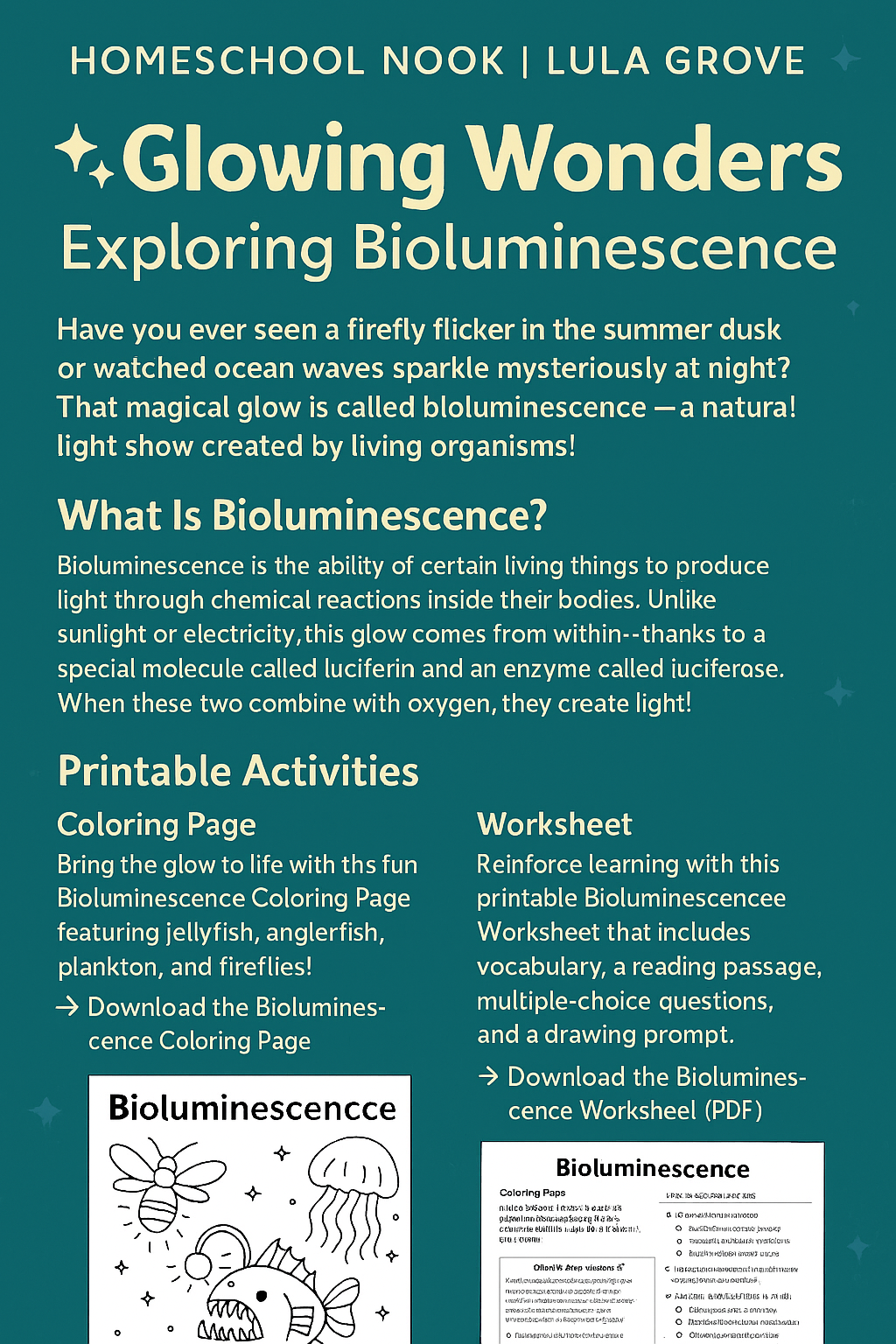 Glowing Wonders: Exploring Bioluminescence