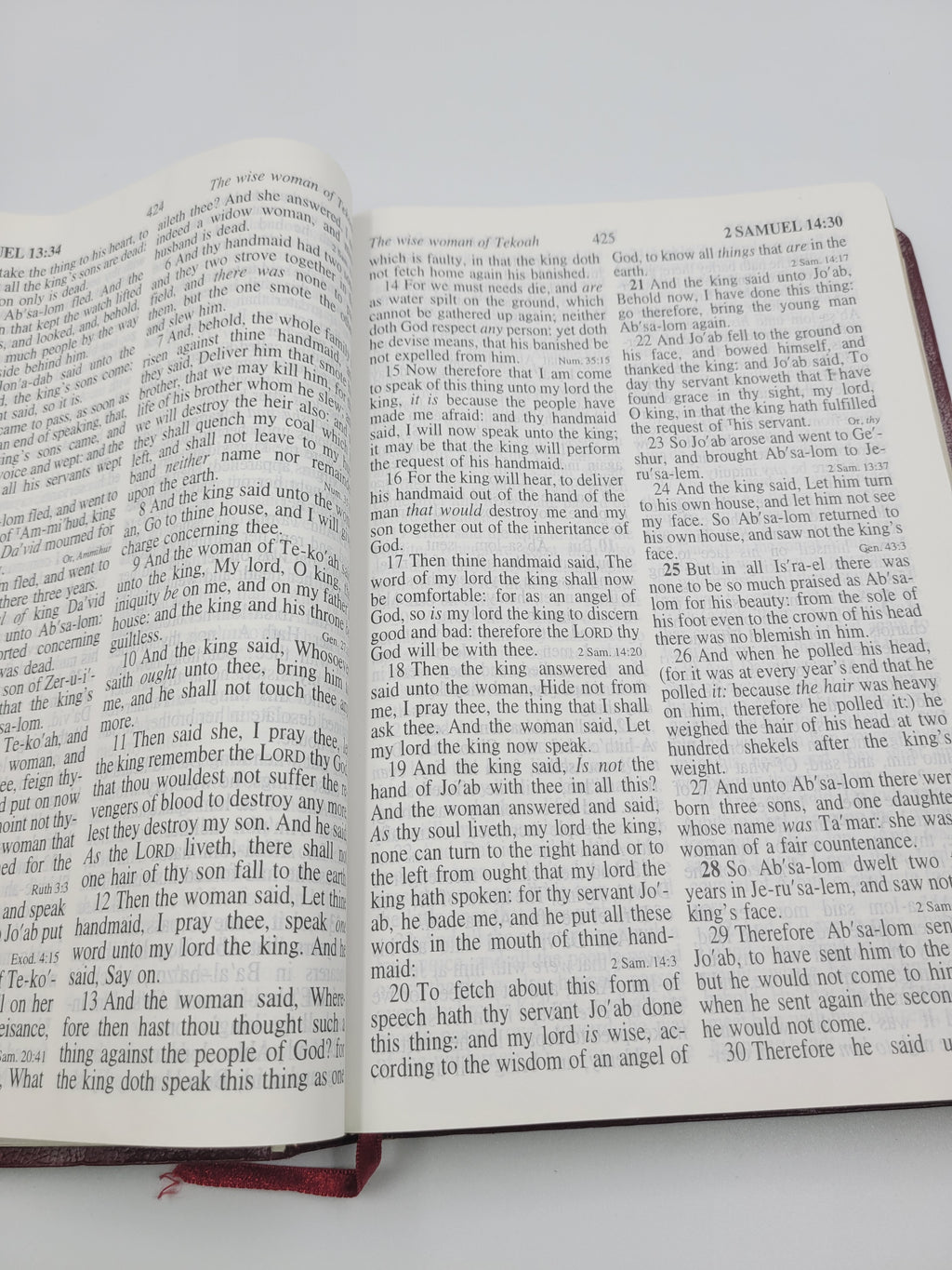 KJV Giant Print Reference Bible – Holman 1998 Burgundy – Vintage Edition