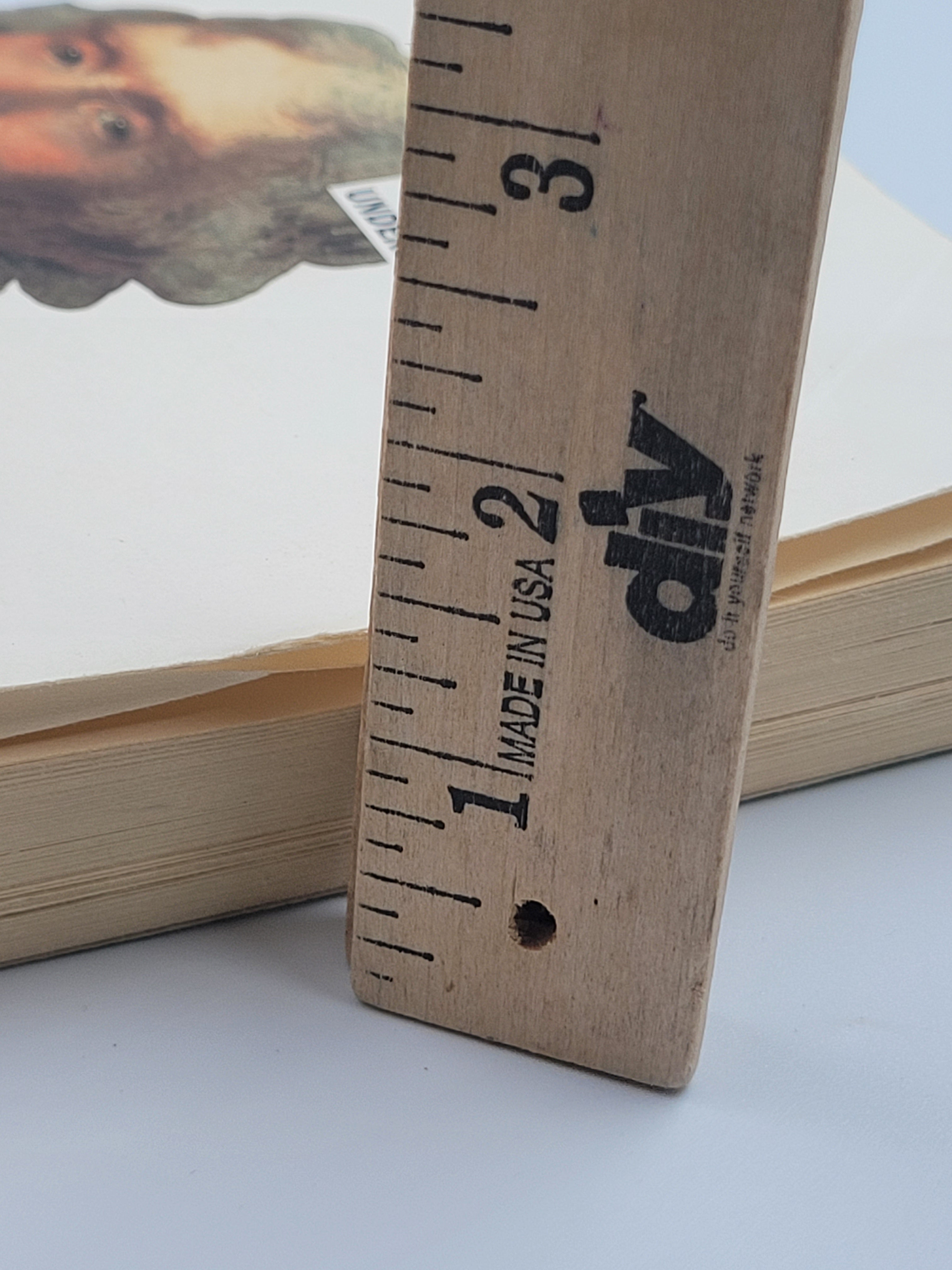 Understanding Thomas Jefferson by E. M. Halliday – First Perennial Edition (2002) – Study Copy with Highlights