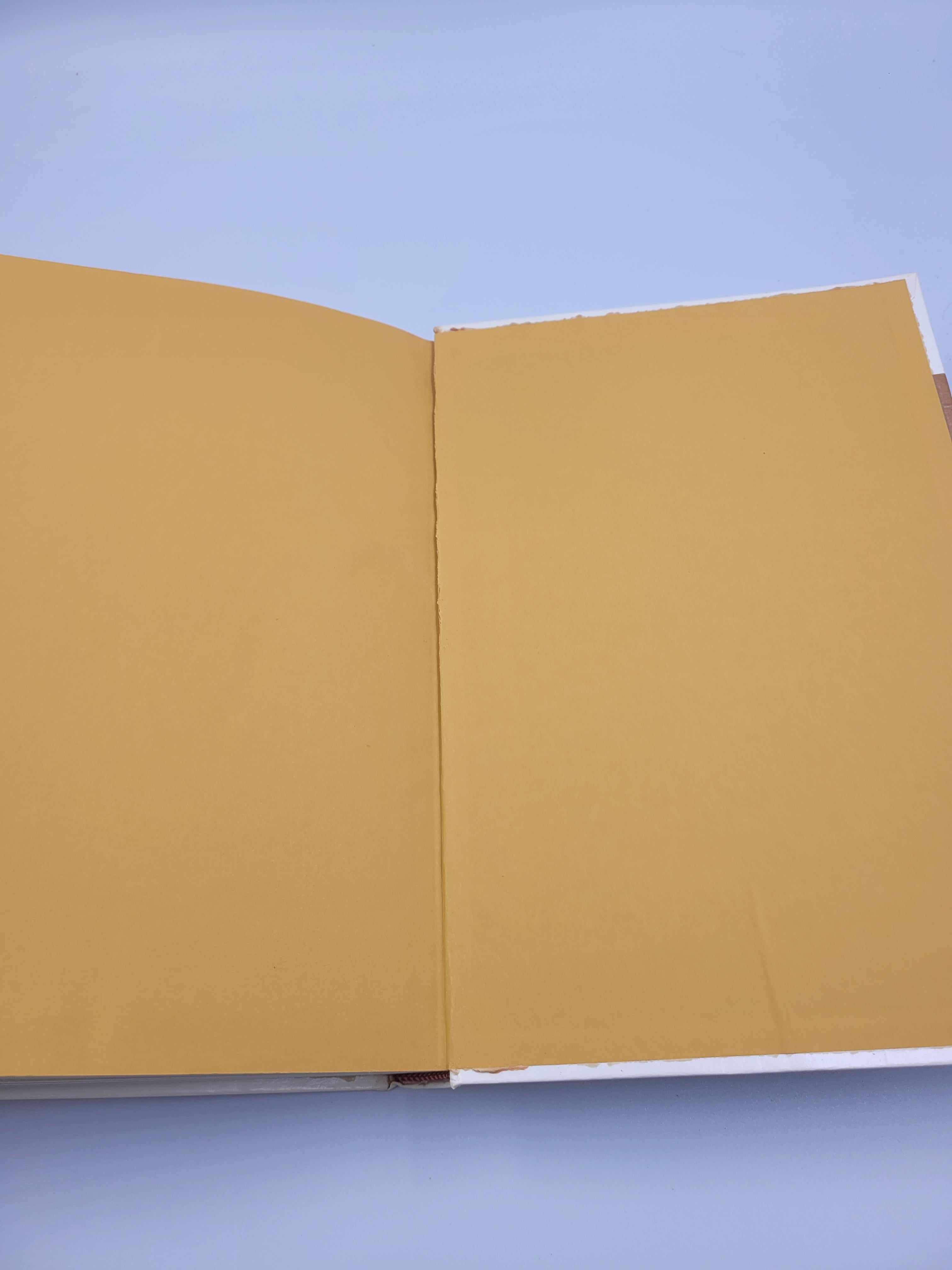 Encyclopedia Year Book 1974 by Grolier | Vintage Publishing History