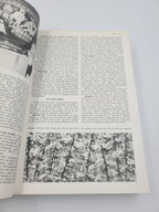 Encyclopedia Year Book 1974 by Grolier | Vintage Publishing History