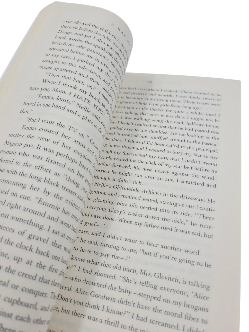 A Map of the World by Jane Hamilton – Oprah’s Book Club Edition, Anchor Books, Vintage Paperback