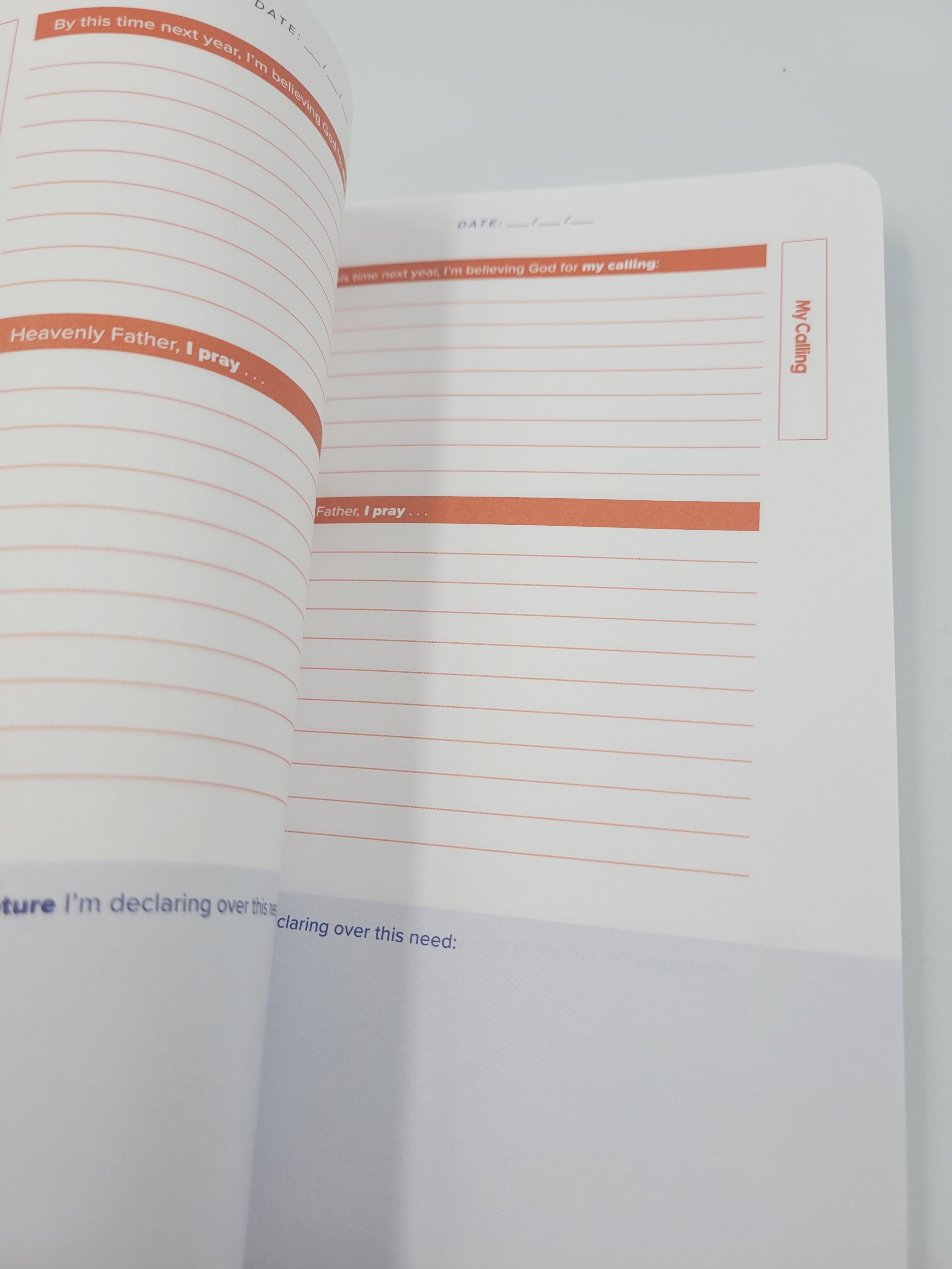 This Time Next Year – Believe Big Journal by Joel Osteen (2020, Paperback)