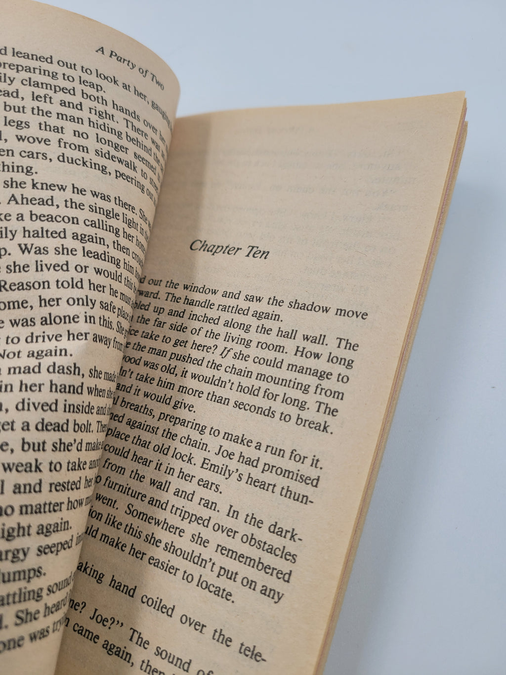 A Party of Two by Stella Cameron – Harlequin American Romance #243 (1988)