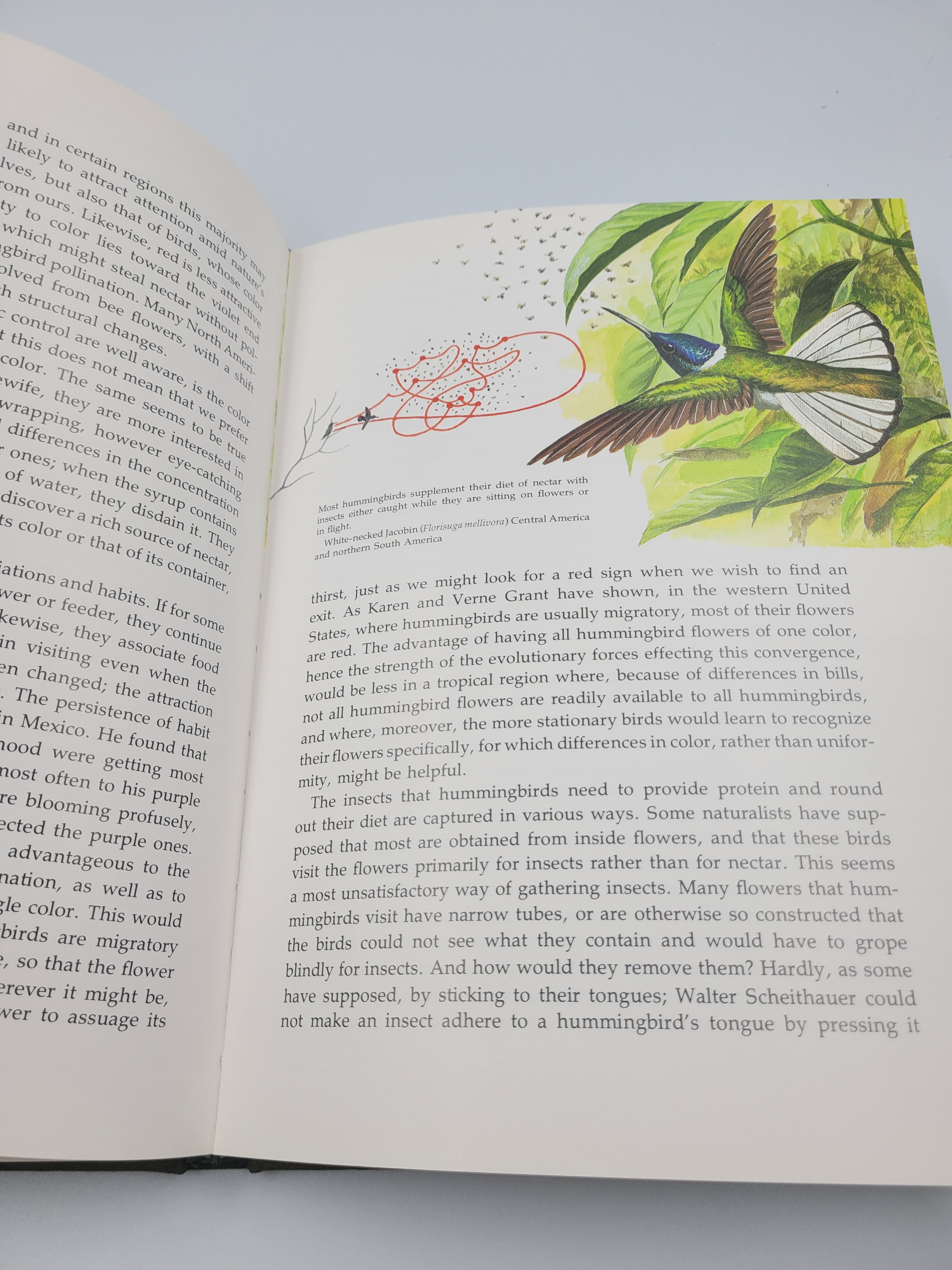 The Life of the Hummingbird – 1973 Hardcover Illustrated by Arthur B. Singer