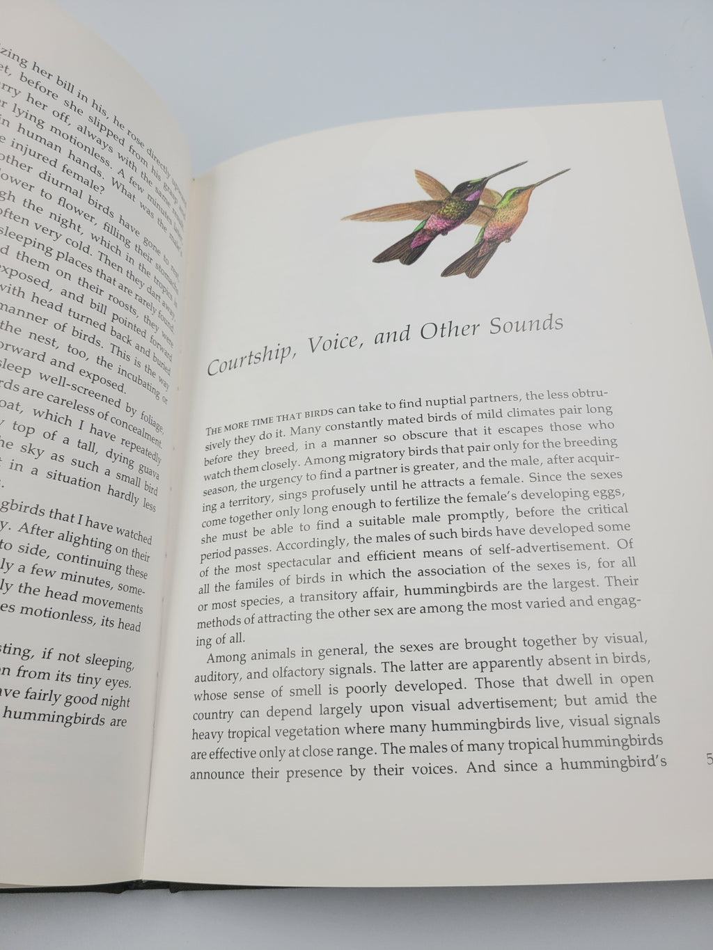 The Life of the Hummingbird – 1973 Hardcover Illustrated by Arthur B. Singer