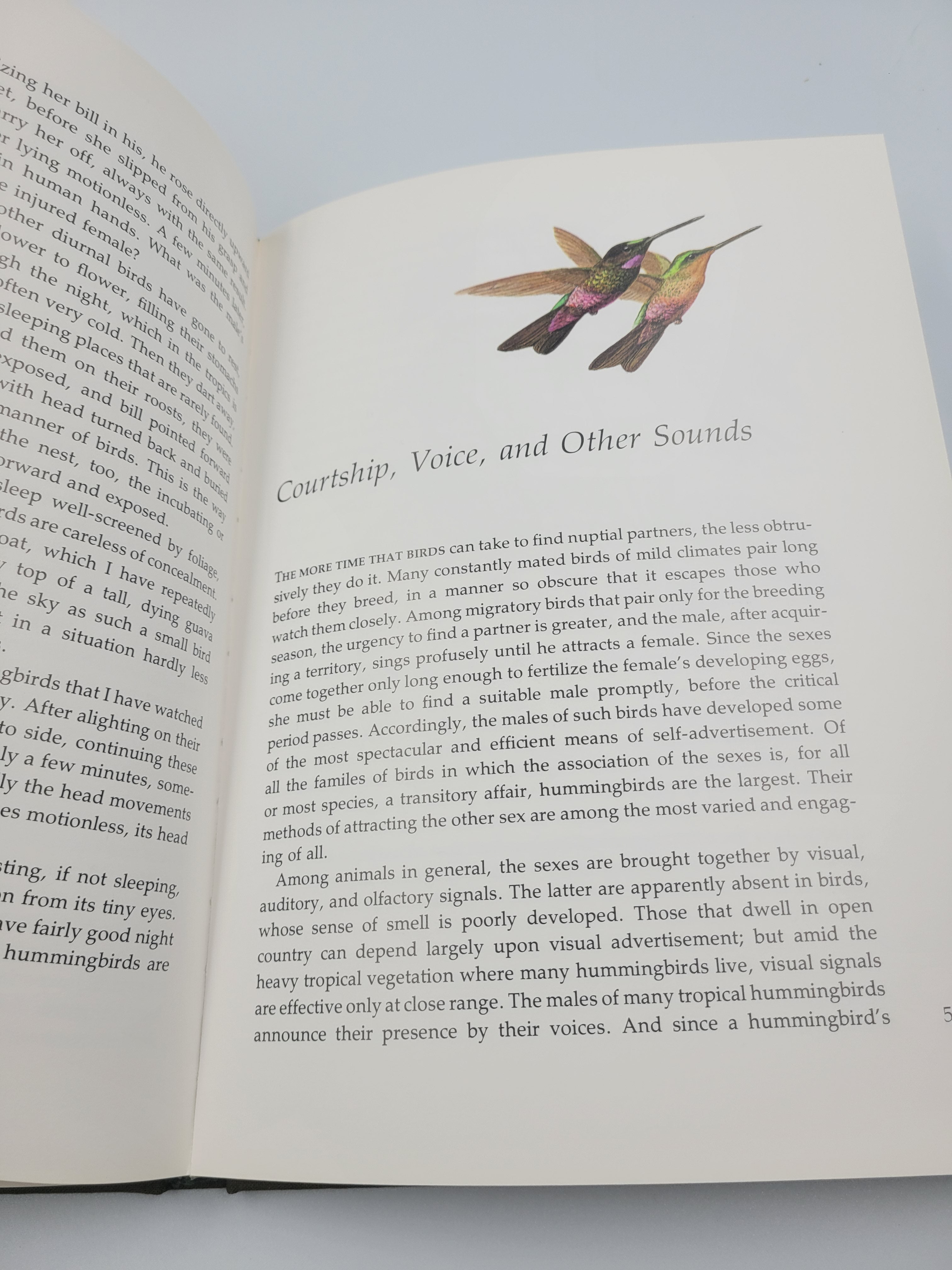 The Life of the Hummingbird – 1973 Hardcover Illustrated by Arthur B. Singer