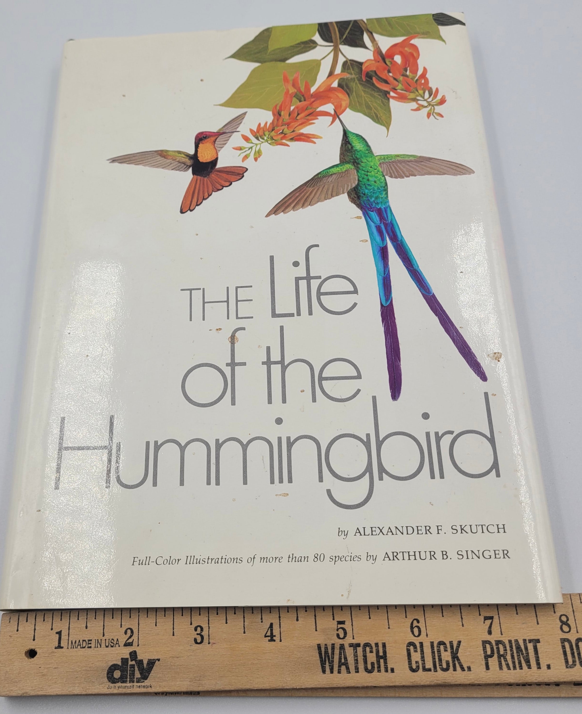 The Life of the Hummingbird – 1973 Hardcover Illustrated by Arthur B. Singer