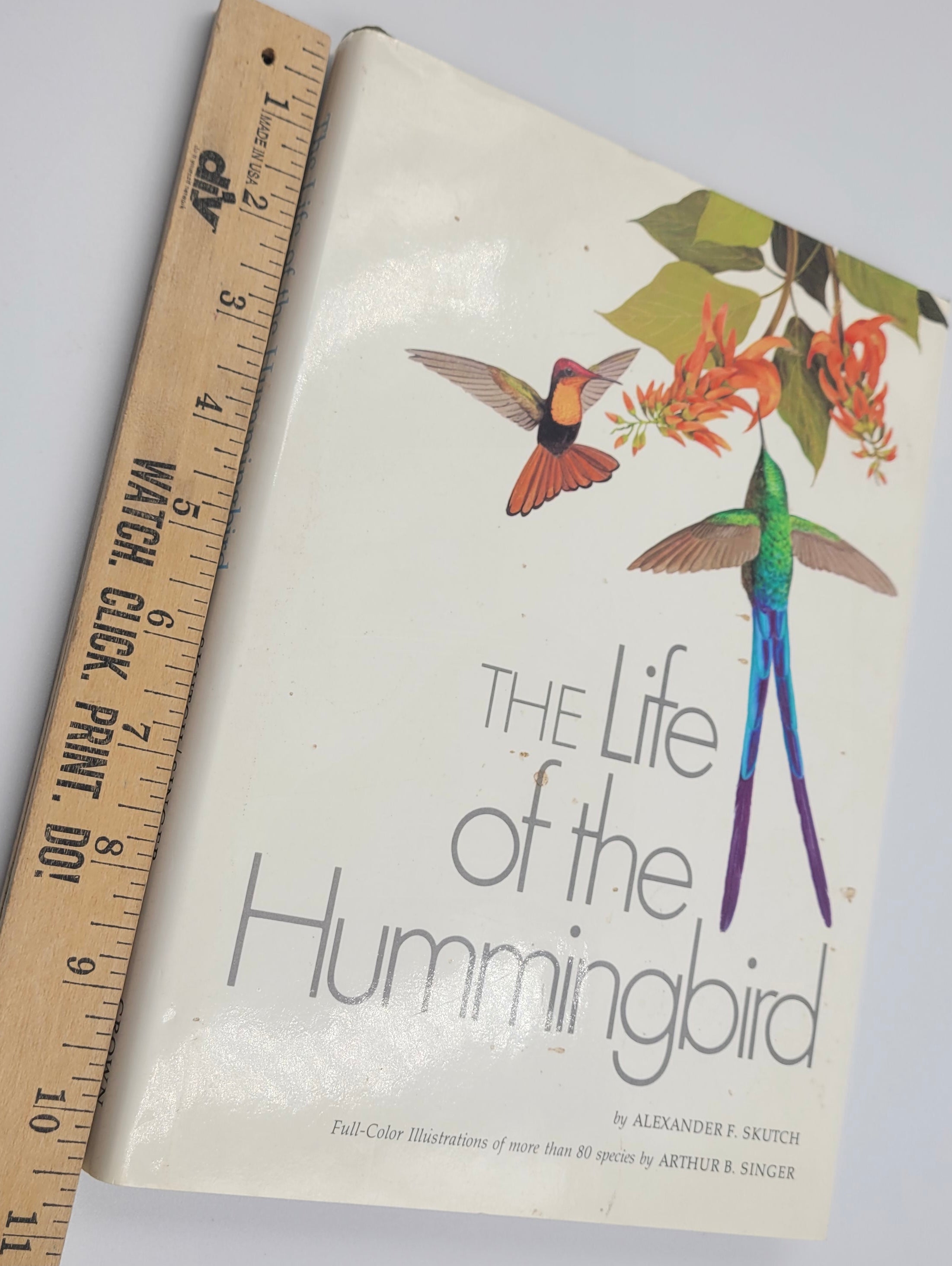 The Life of the Hummingbird – 1973 Hardcover Illustrated by Arthur B. Singer