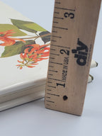 The Life of the Hummingbird – 1973 Hardcover Illustrated by Arthur B. Singer