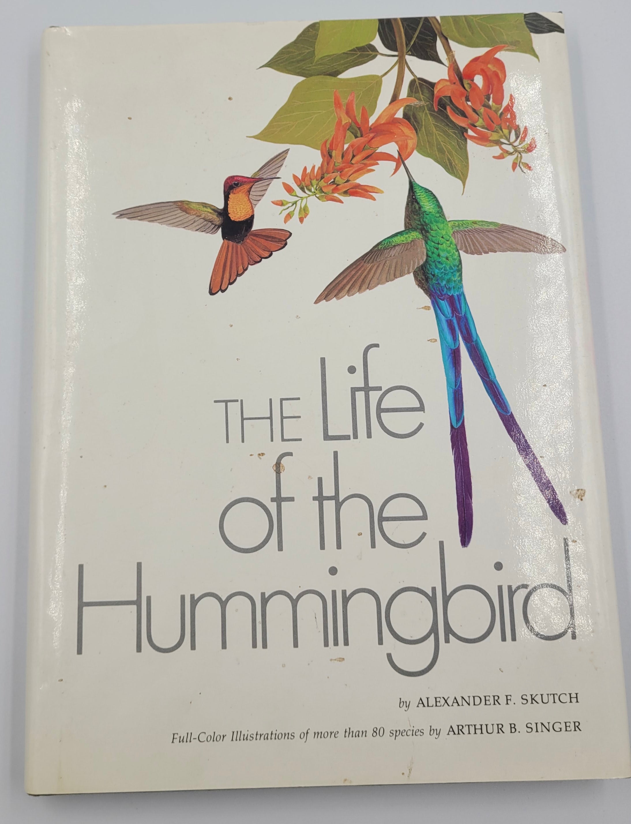 The Life of the Hummingbird – 1973 Hardcover Illustrated by Arthur B. Singer