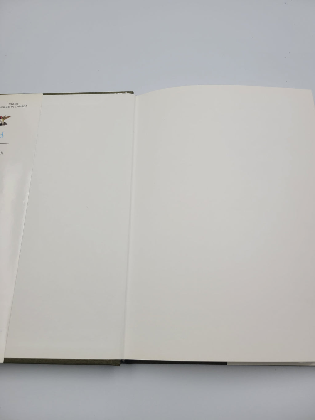 The Life of the Hummingbird – 1973 Hardcover Illustrated by Arthur B. Singer