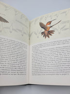 The Life of the Hummingbird – 1973 Hardcover Illustrated by Arthur B. Singer