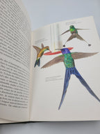 The Life of the Hummingbird – 1973 Hardcover Illustrated by Arthur B. Singer