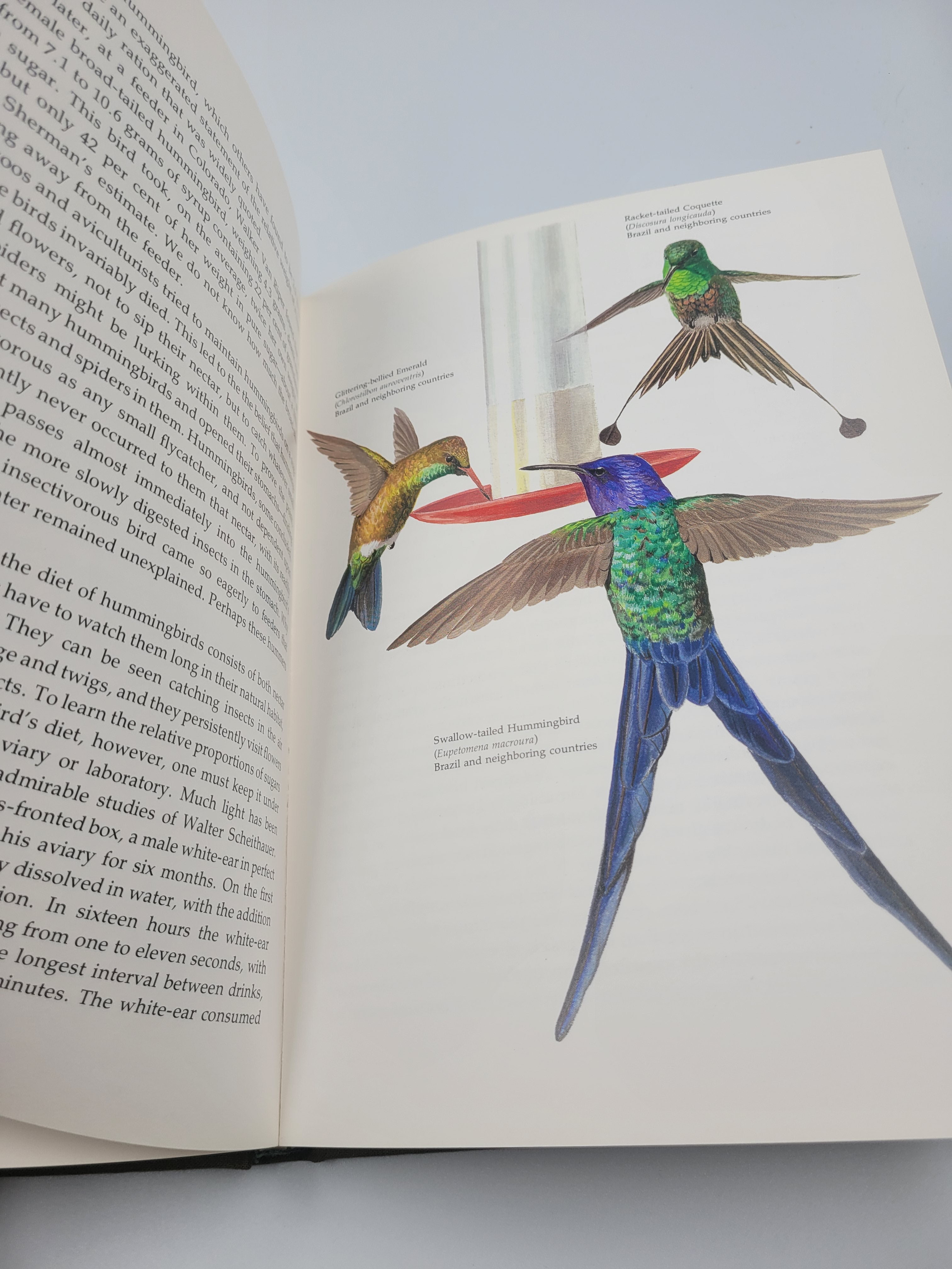 The Life of the Hummingbird – 1973 Hardcover Illustrated by Arthur B. Singer