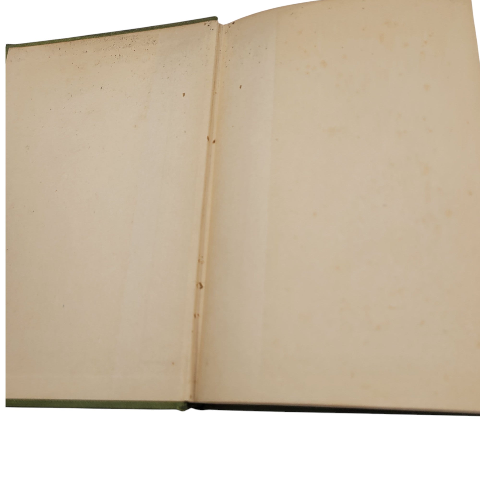 What Bird Is That? by Frank M. Chapman – 1927 Antique Ornithology Guide – Illustrated Hardcover