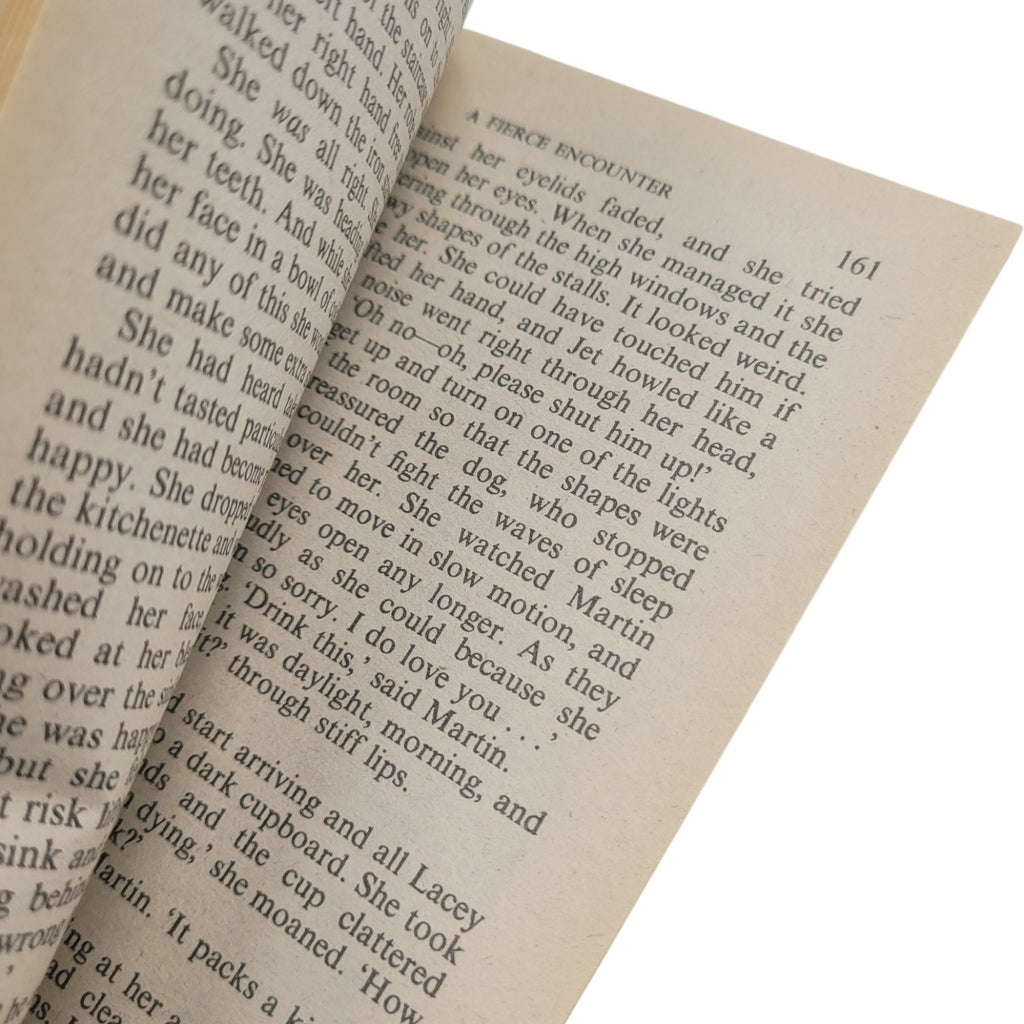 A Fierce Encounter by Jane Donnelly – Harlequin Romance 1983 Vintage Paperback