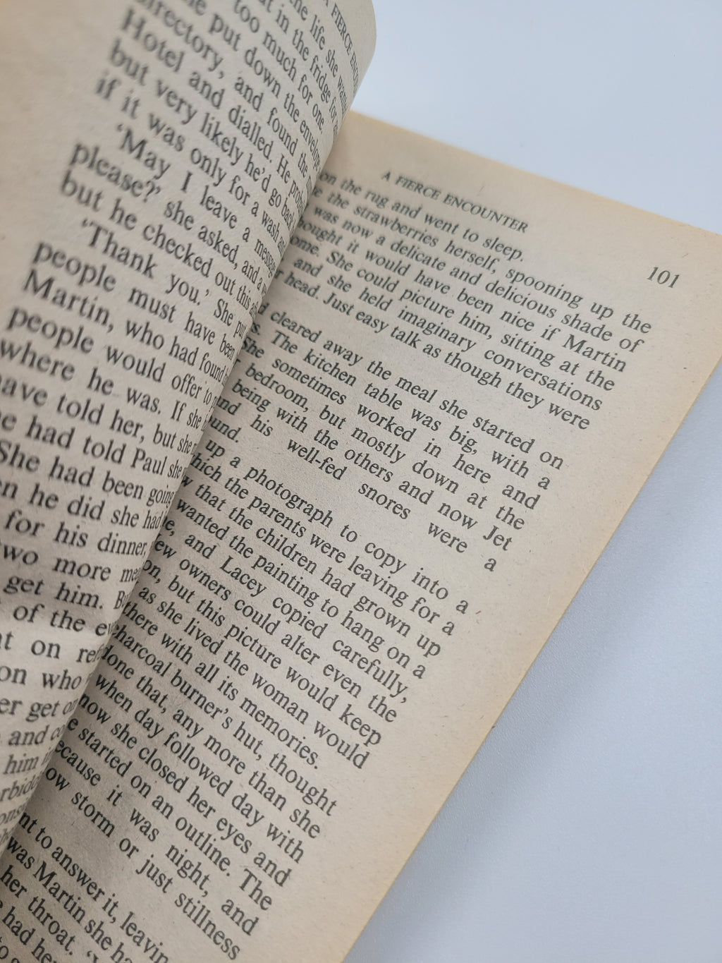 A Fierce Encounter by Jane Donnelly – Harlequin Romance 1983 Vintage Paperback
