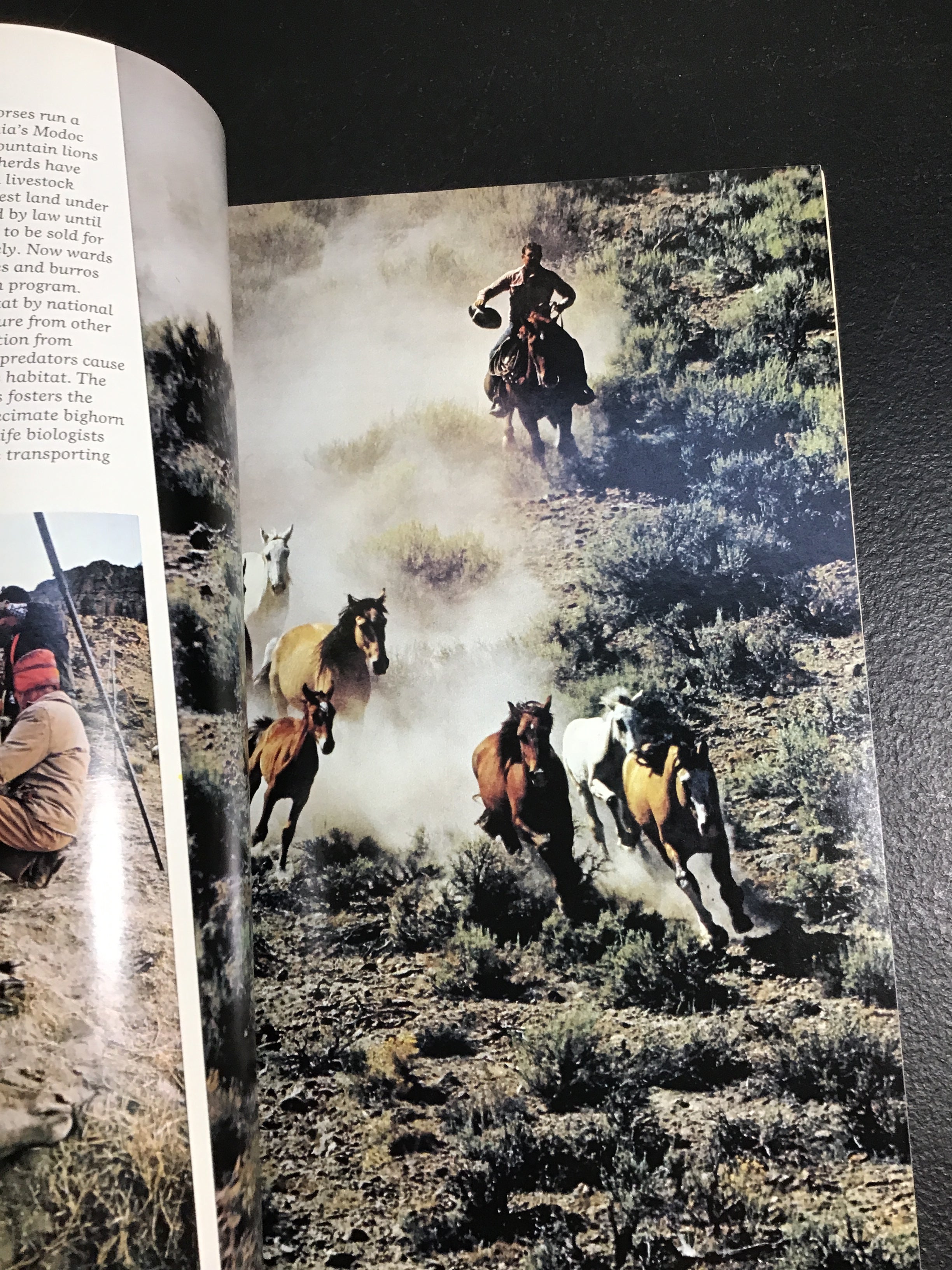 National Geographic Magazine – September 1982 Vol. 162, No. 3