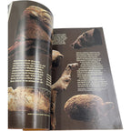 National Geographic – November 1985 Holographic Edition Includes Original Supplement: Canada’s Vacationlands
