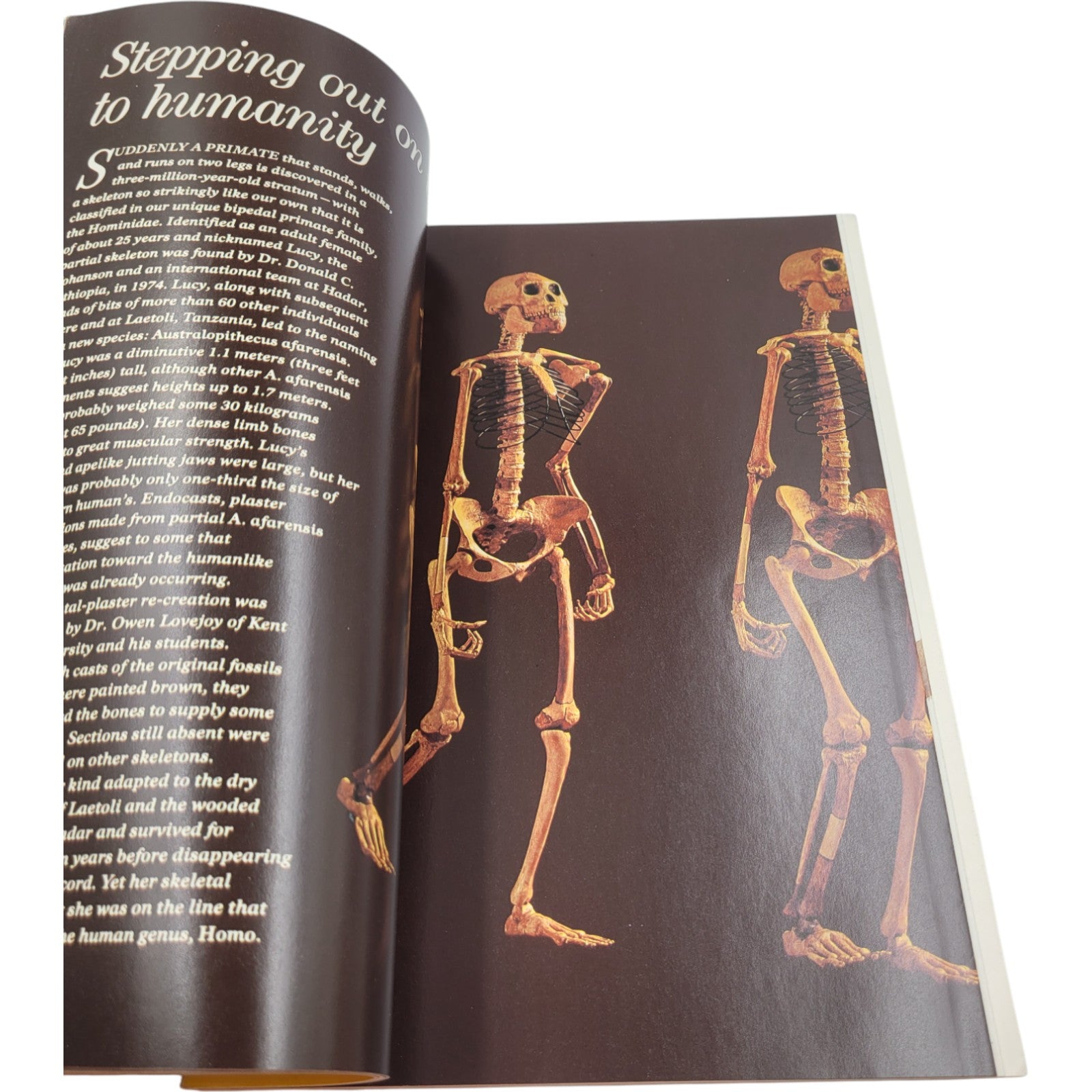 National Geographic – November 1985 Holographic Edition Includes Original Supplement: Canada’s Vacationlands