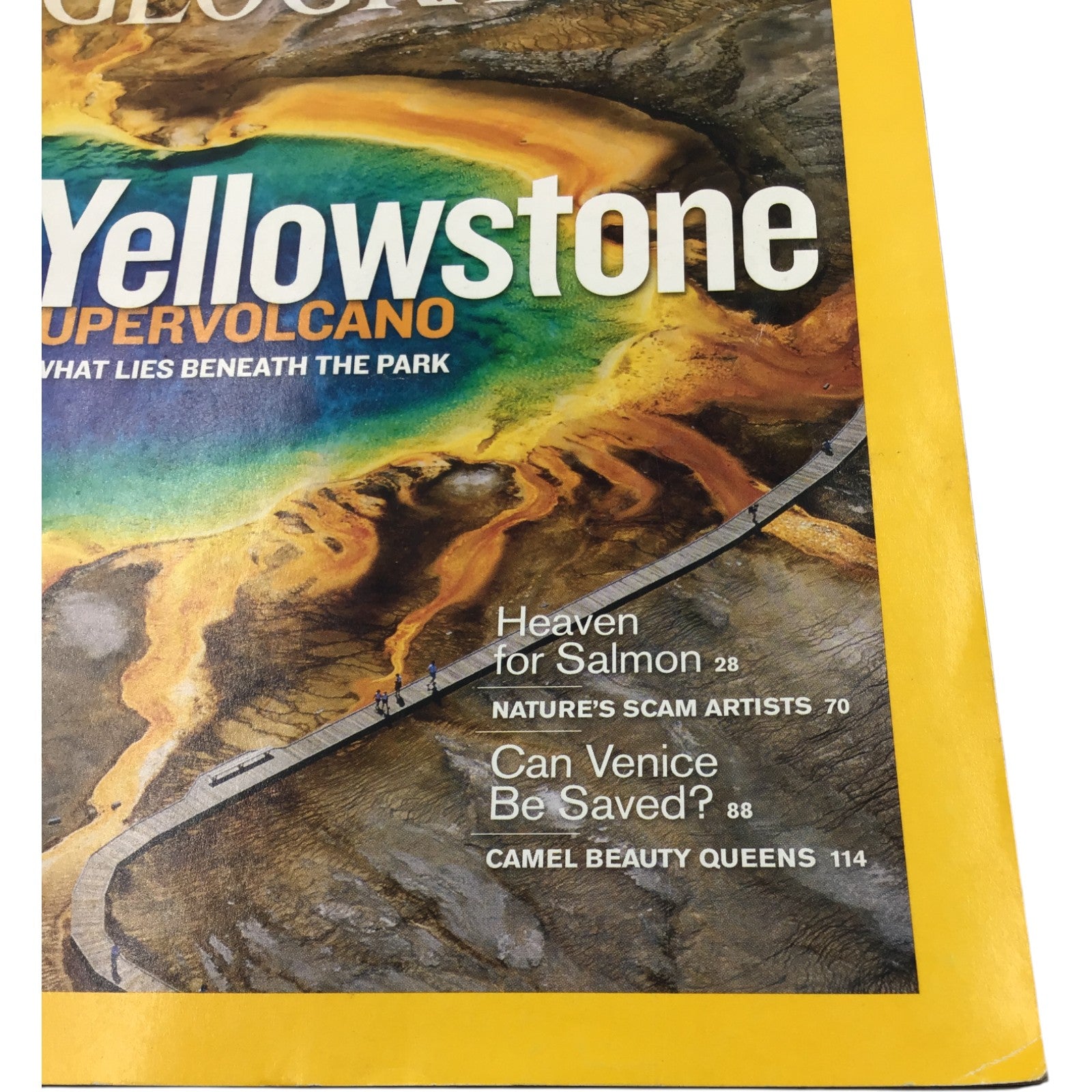 National Geographic Magazine August 2009 – Yellowstone Supervolcano, Venice, Salmon, Camel Beauty Queens