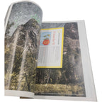 National Geographic 125 Years Photo Issue 2013 with Map Insert – Complete