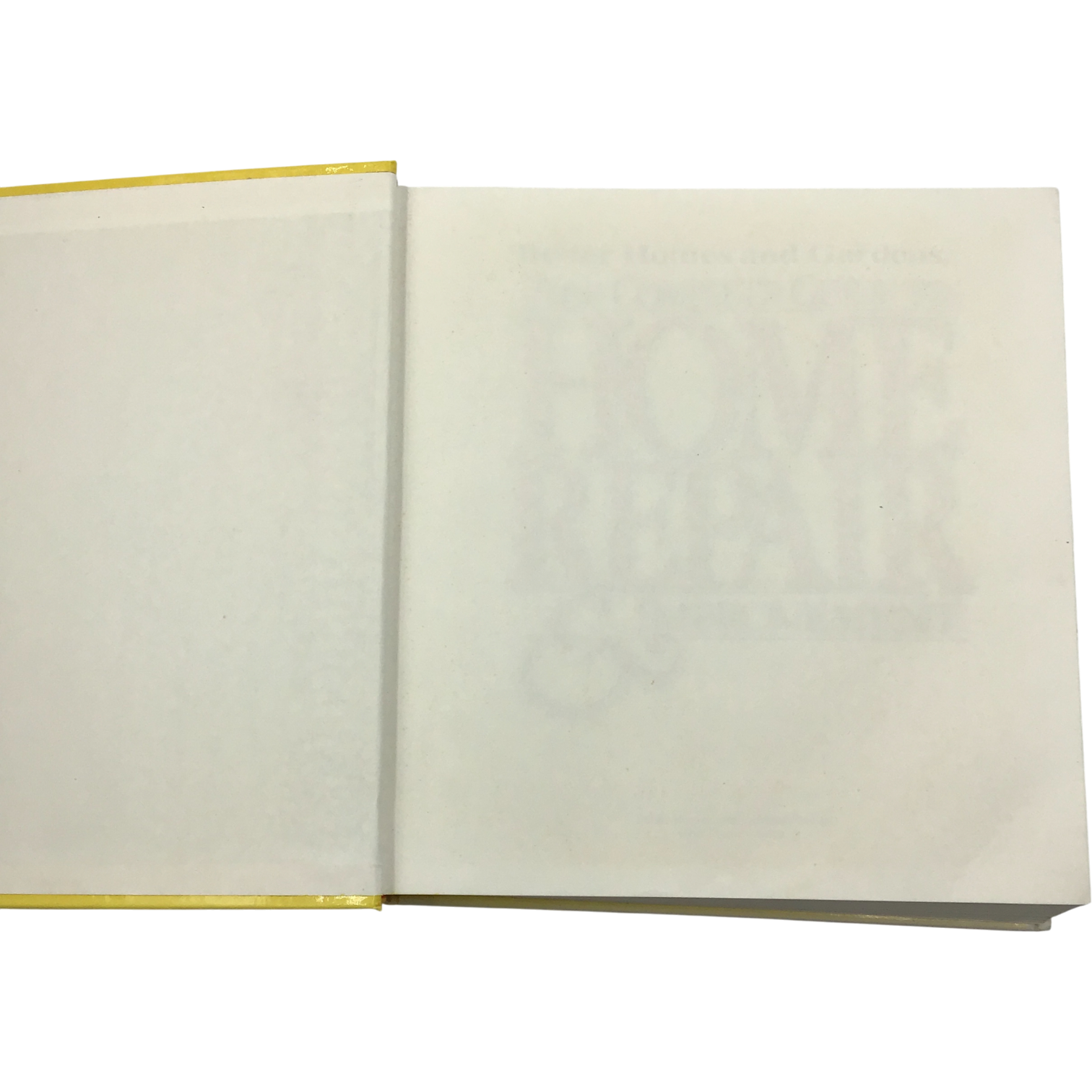 Better Homes and Gardens New Complete Guide to Home Repair & Improvement