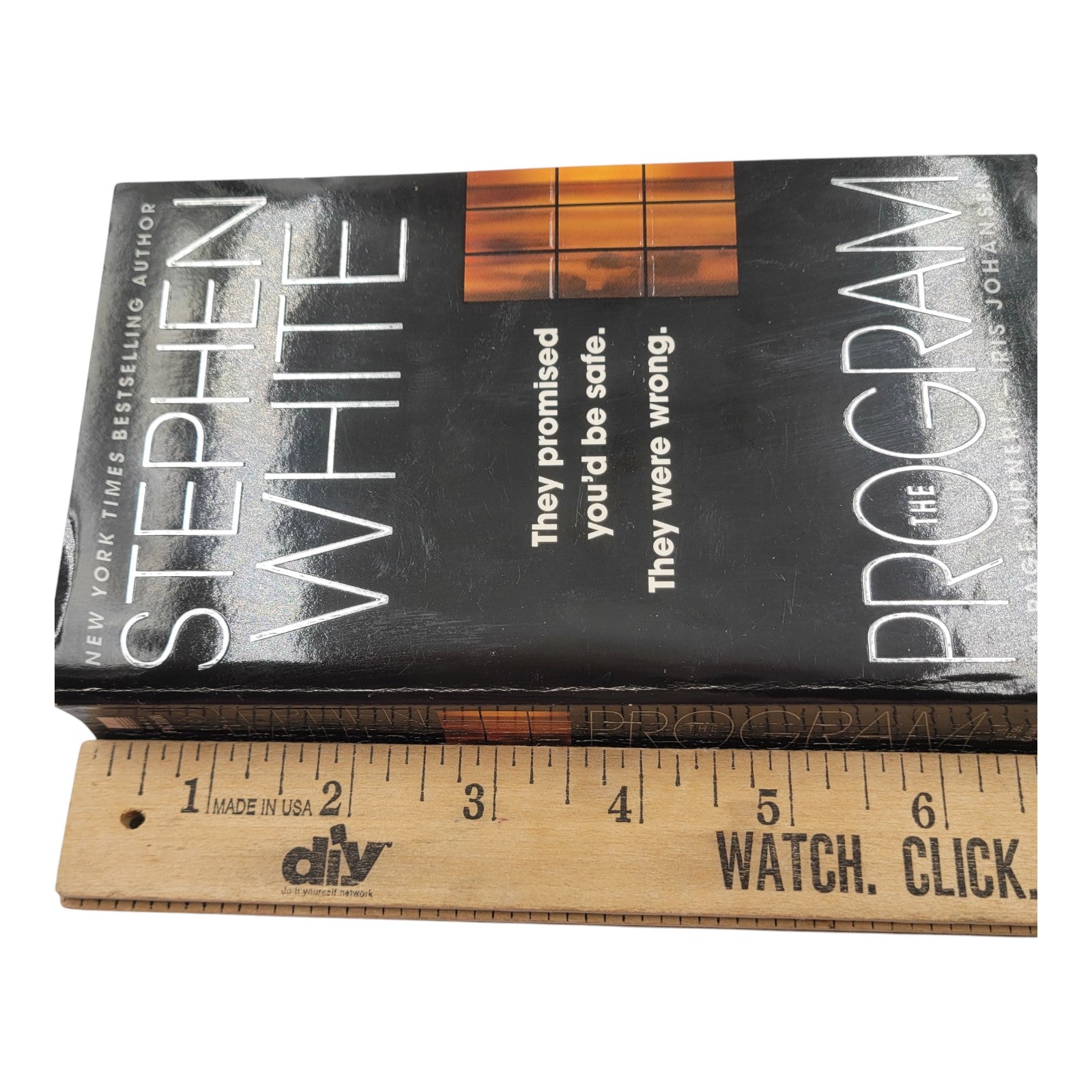The Program by Stephen White (2002 Dell Paperback) – Vintage Thriller Novel