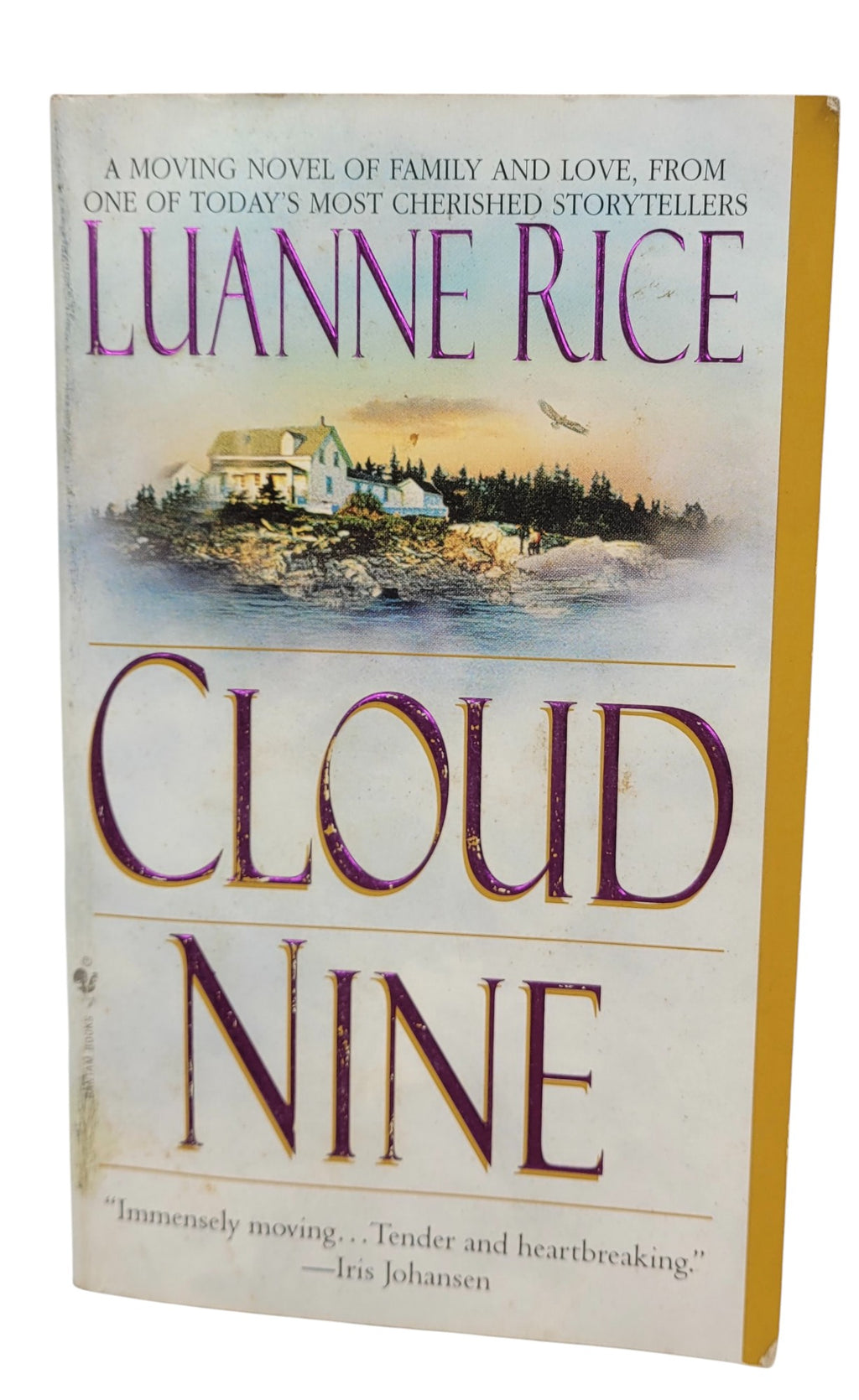 Cloud Nine by Luanne Rice | Vintage Bantam Paperback Romance Fiction