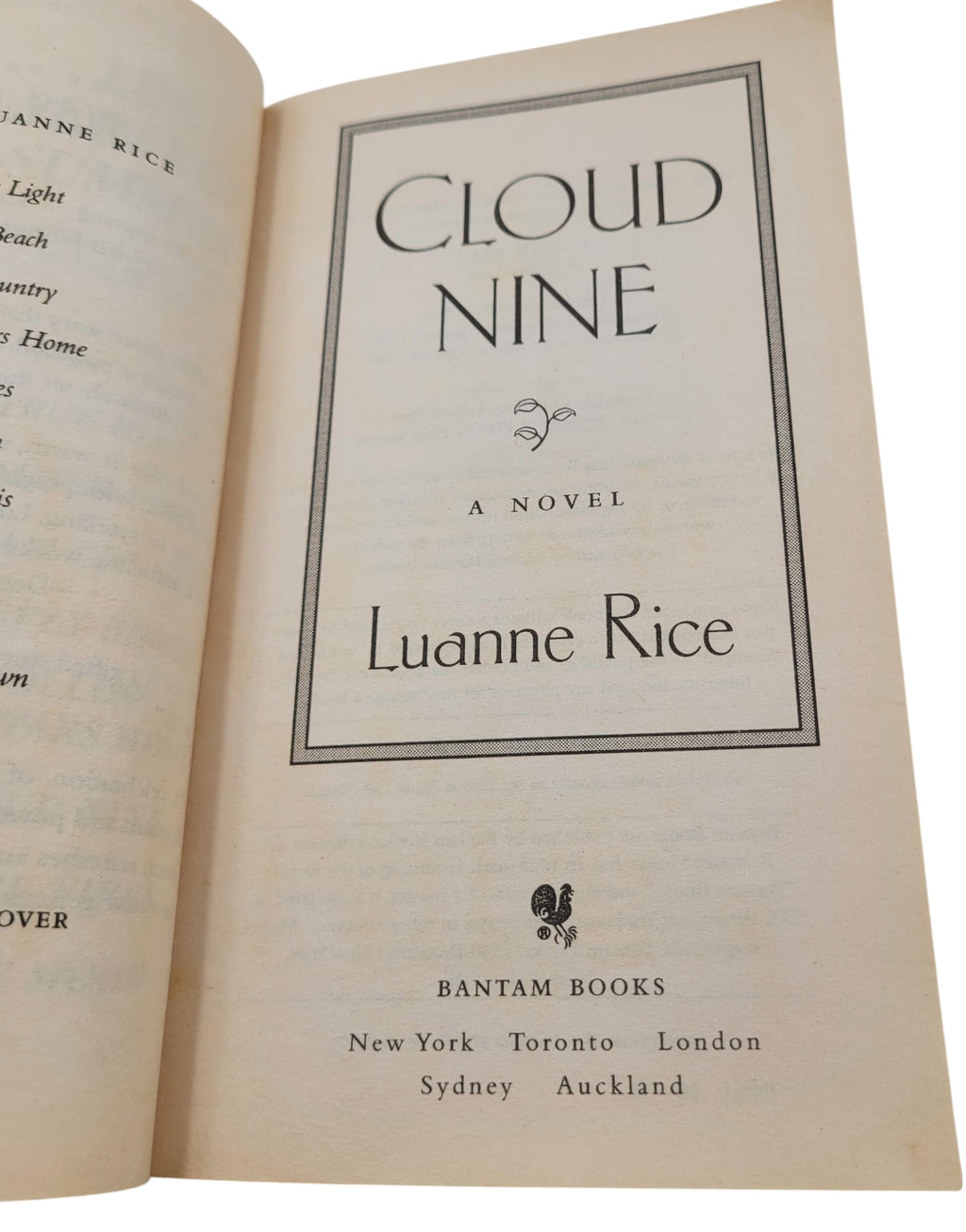 Cloud Nine by Luanne Rice | Vintage Bantam Paperback Romance Fiction