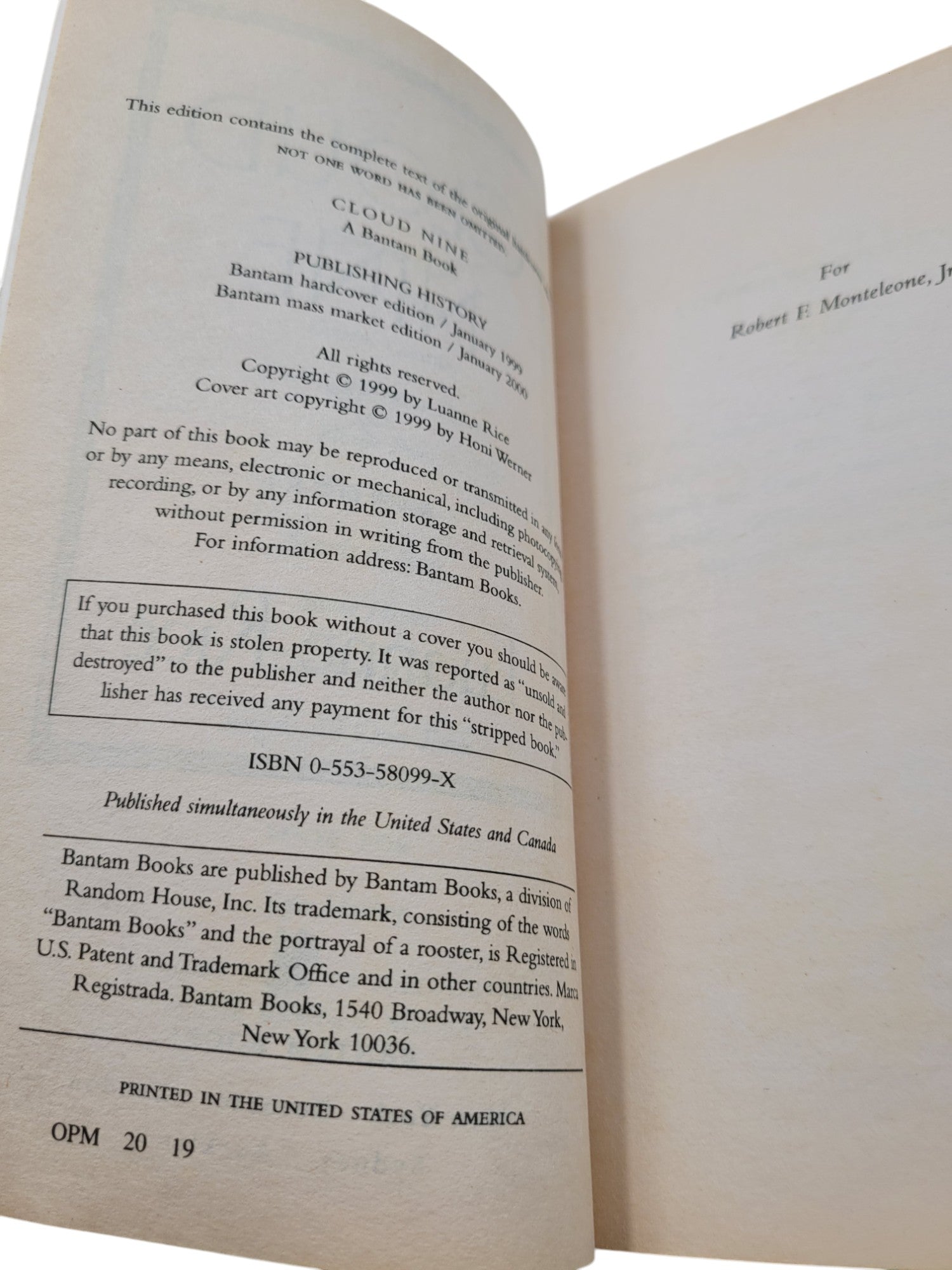 Cloud Nine by Luanne Rice | Vintage Bantam Paperback Romance Fiction