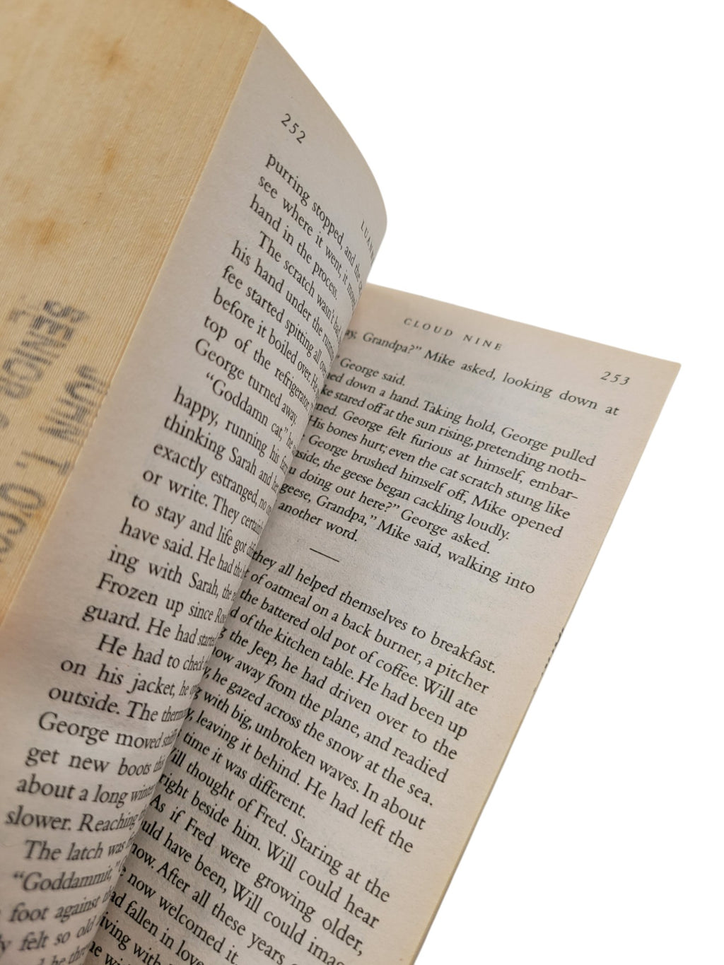 Cloud Nine by Luanne Rice | Vintage Bantam Paperback Romance Fiction