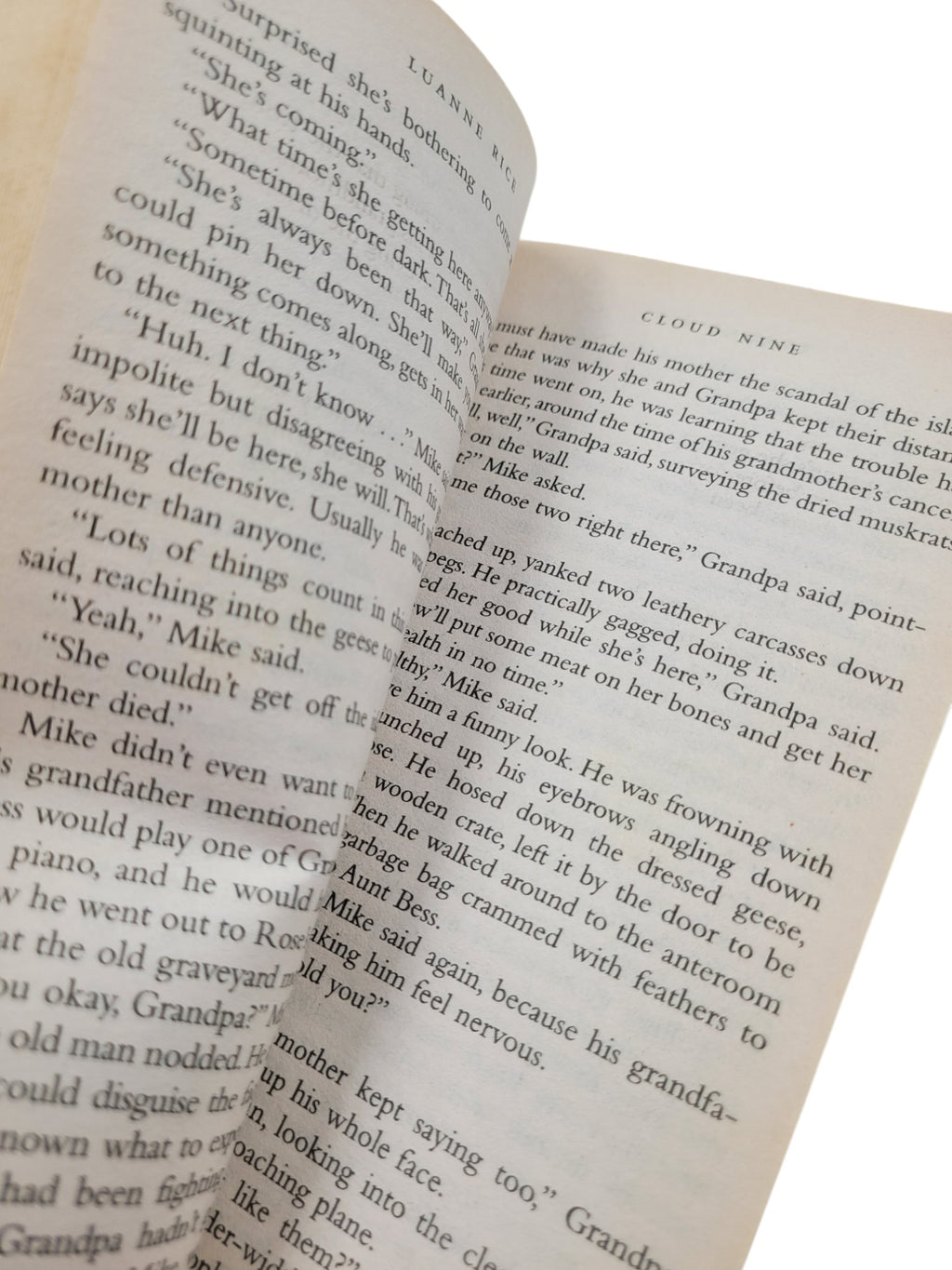 Cloud Nine by Luanne Rice | Vintage Bantam Paperback Romance Fiction