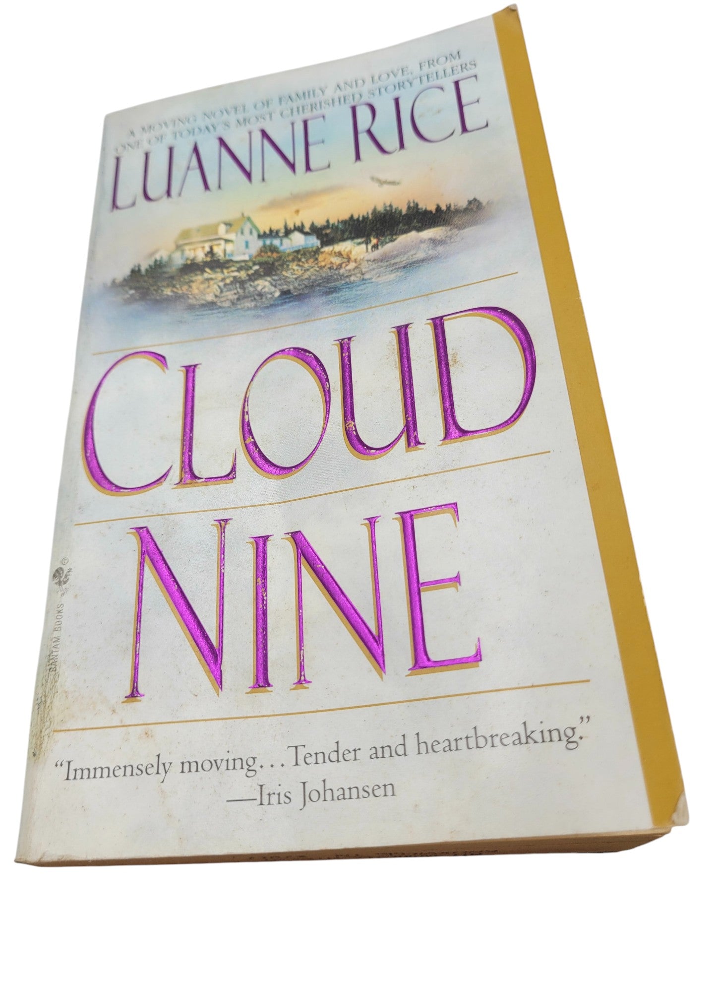 Cloud Nine by Luanne Rice | Vintage Bantam Paperback Romance Fiction