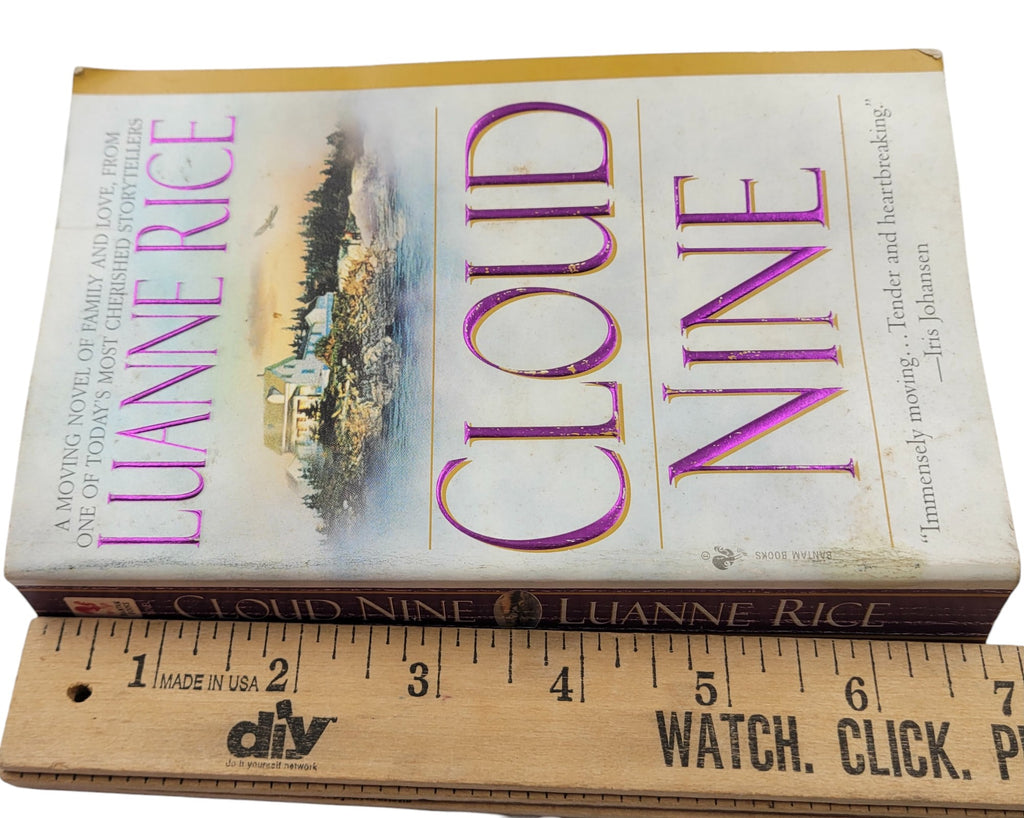 Cloud Nine by Luanne Rice | Vintage Bantam Paperback Romance Fiction
