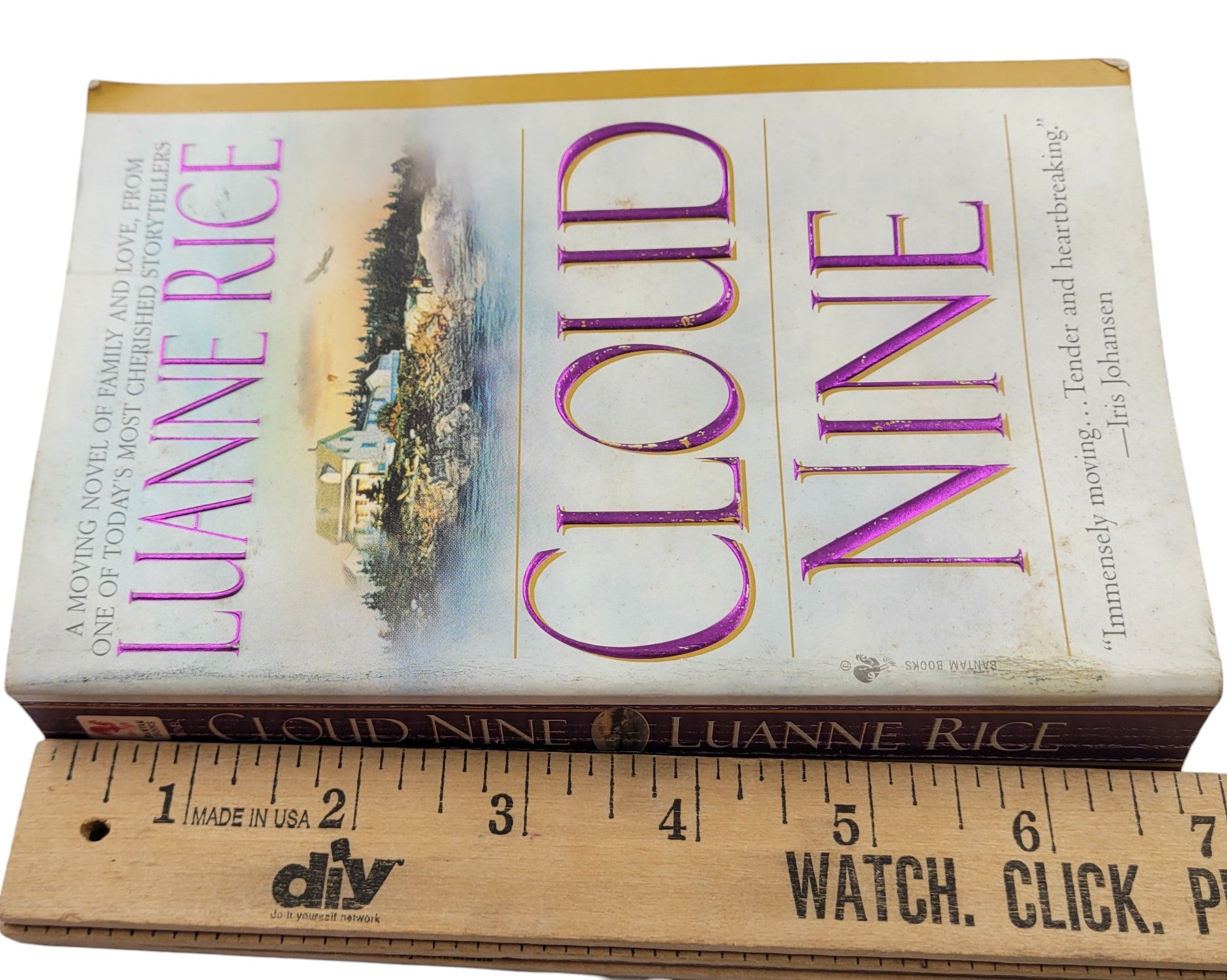 Cloud Nine by Luanne Rice | Vintage Bantam Paperback Romance Fiction