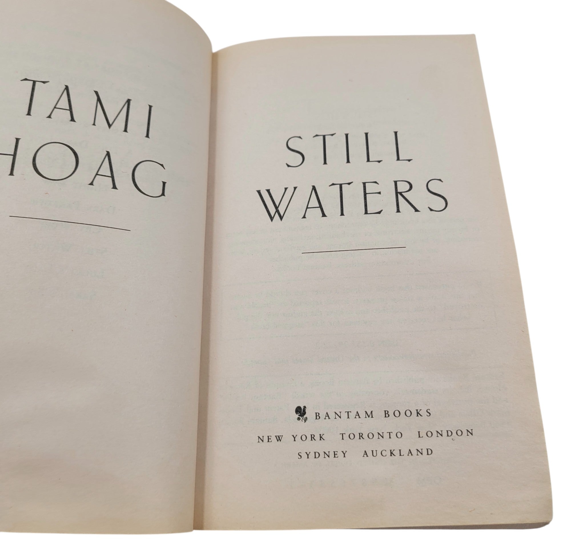 Still Waters by Tami Hoag | 1992 Bantam Vintage Paperback Thriller