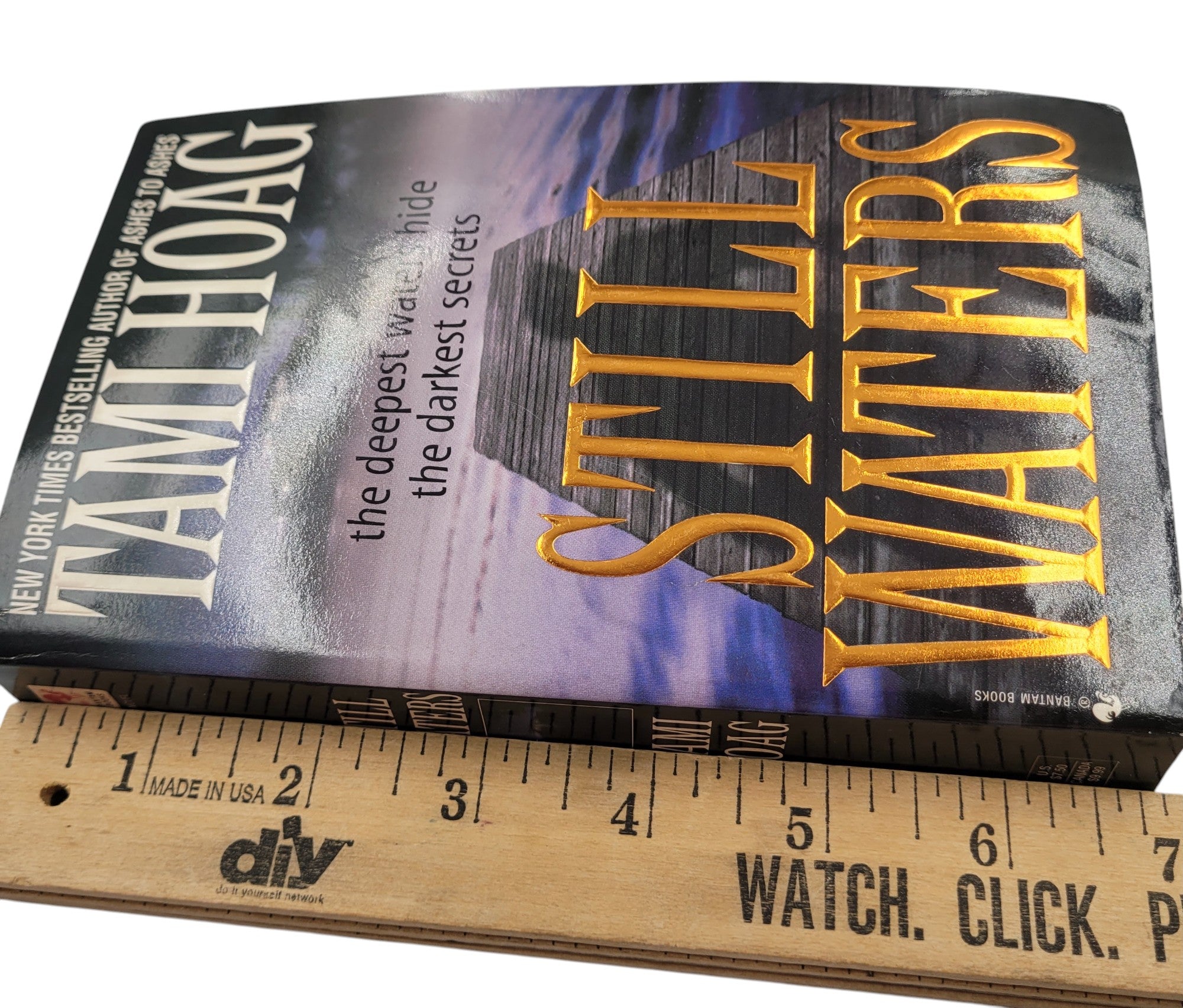 Still Waters by Tami Hoag | 1992 Bantam Vintage Paperback Thriller