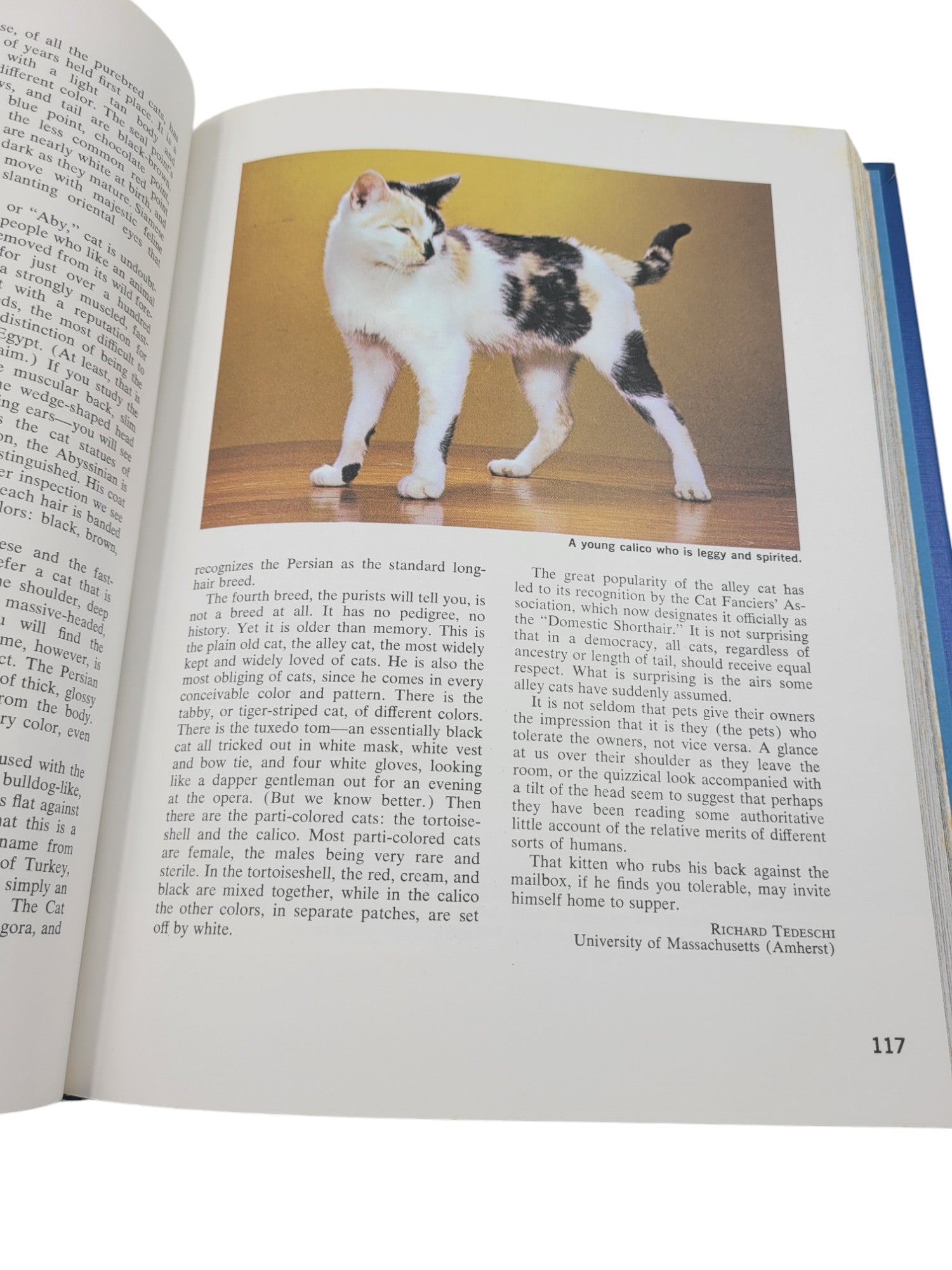 The New Book of Knowledge Annual – 1973 by Grolier | Events of 1972