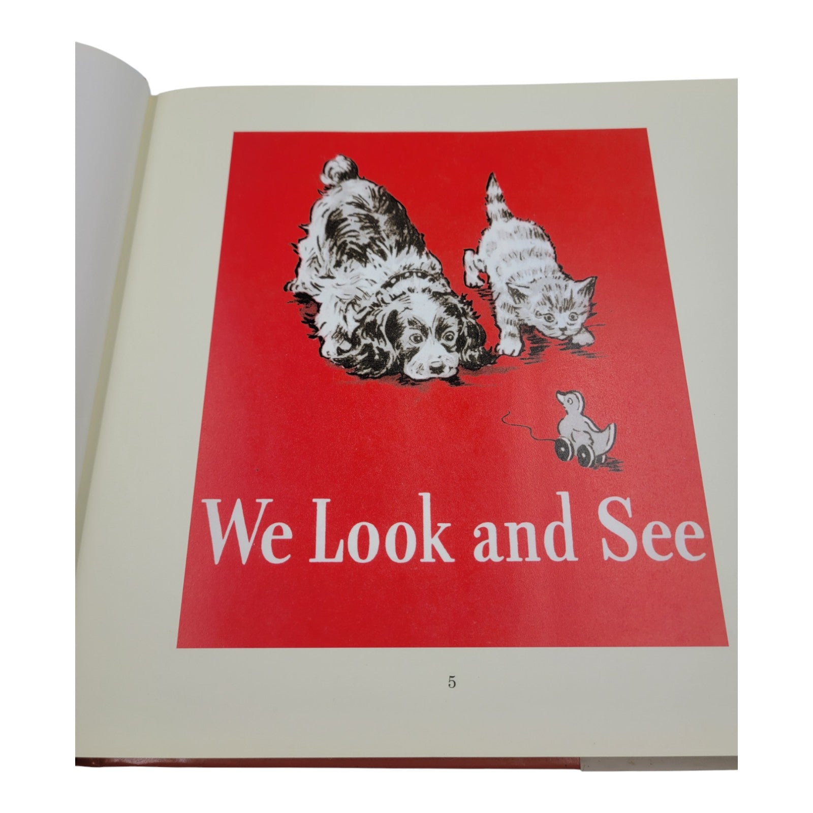 The Ultimate Dick and Jane Storybook Collection – First Edition (Vintage Hardcover)
