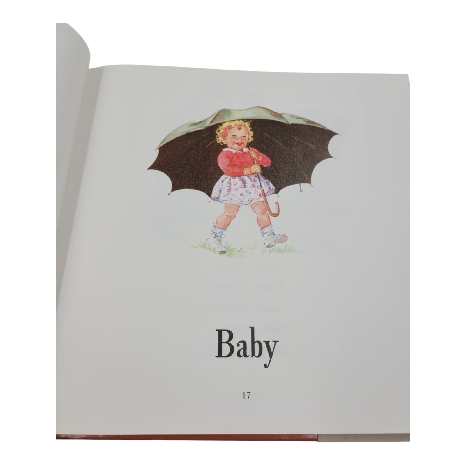 The Ultimate Dick and Jane Storybook Collection – First Edition (Vintage Hardcover)