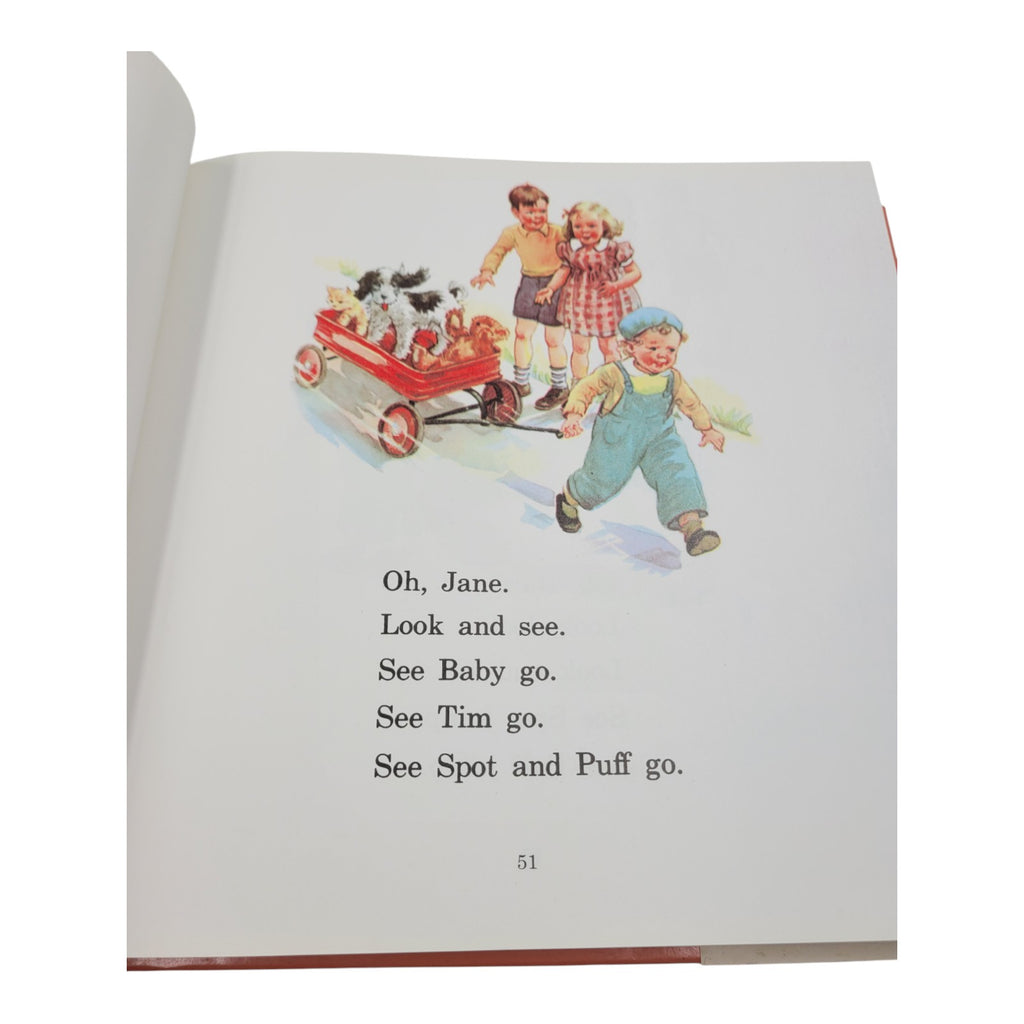 The Ultimate Dick and Jane Storybook Collection – First Edition (Vintage Hardcover)