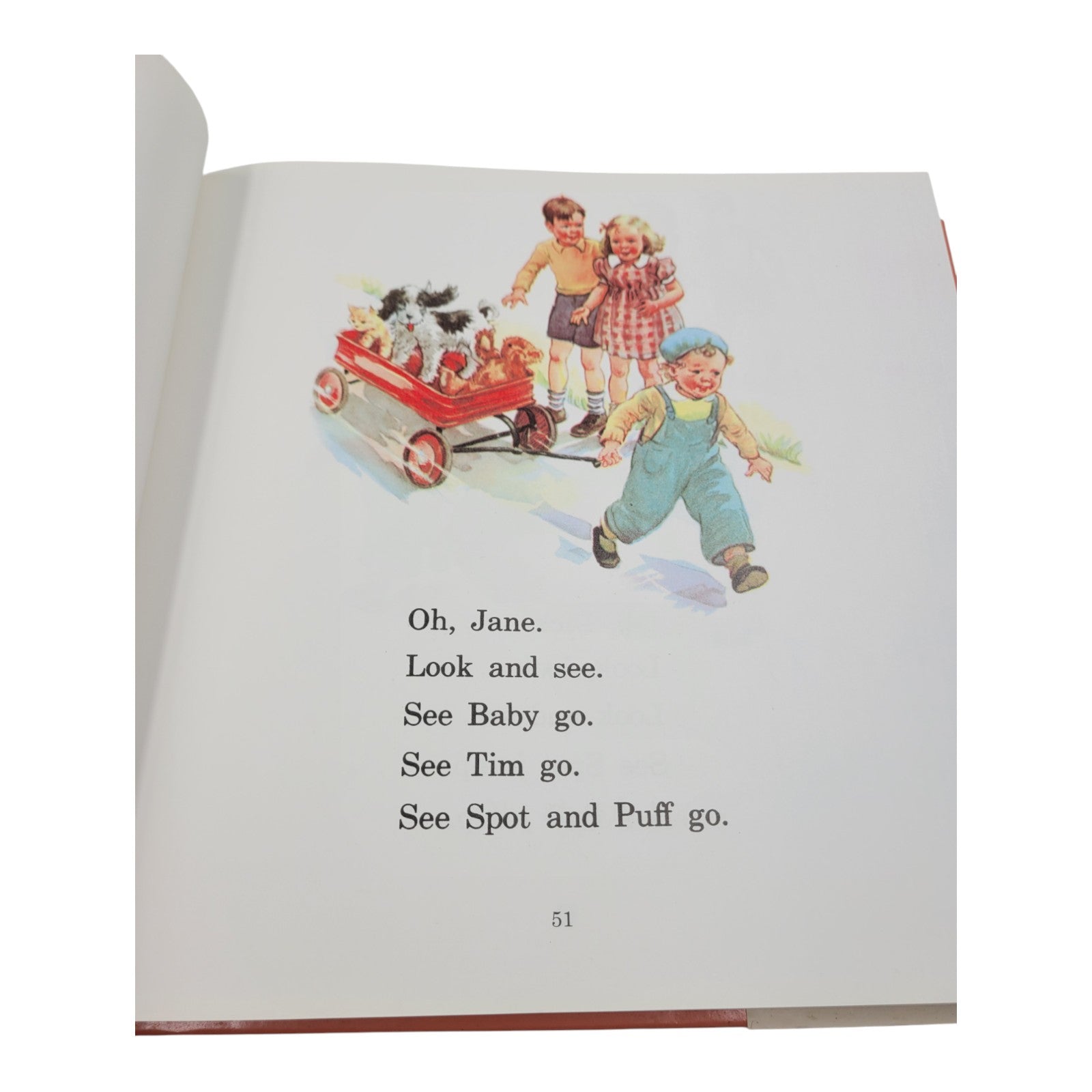 The Ultimate Dick and Jane Storybook Collection – First Edition (Vintage Hardcover)