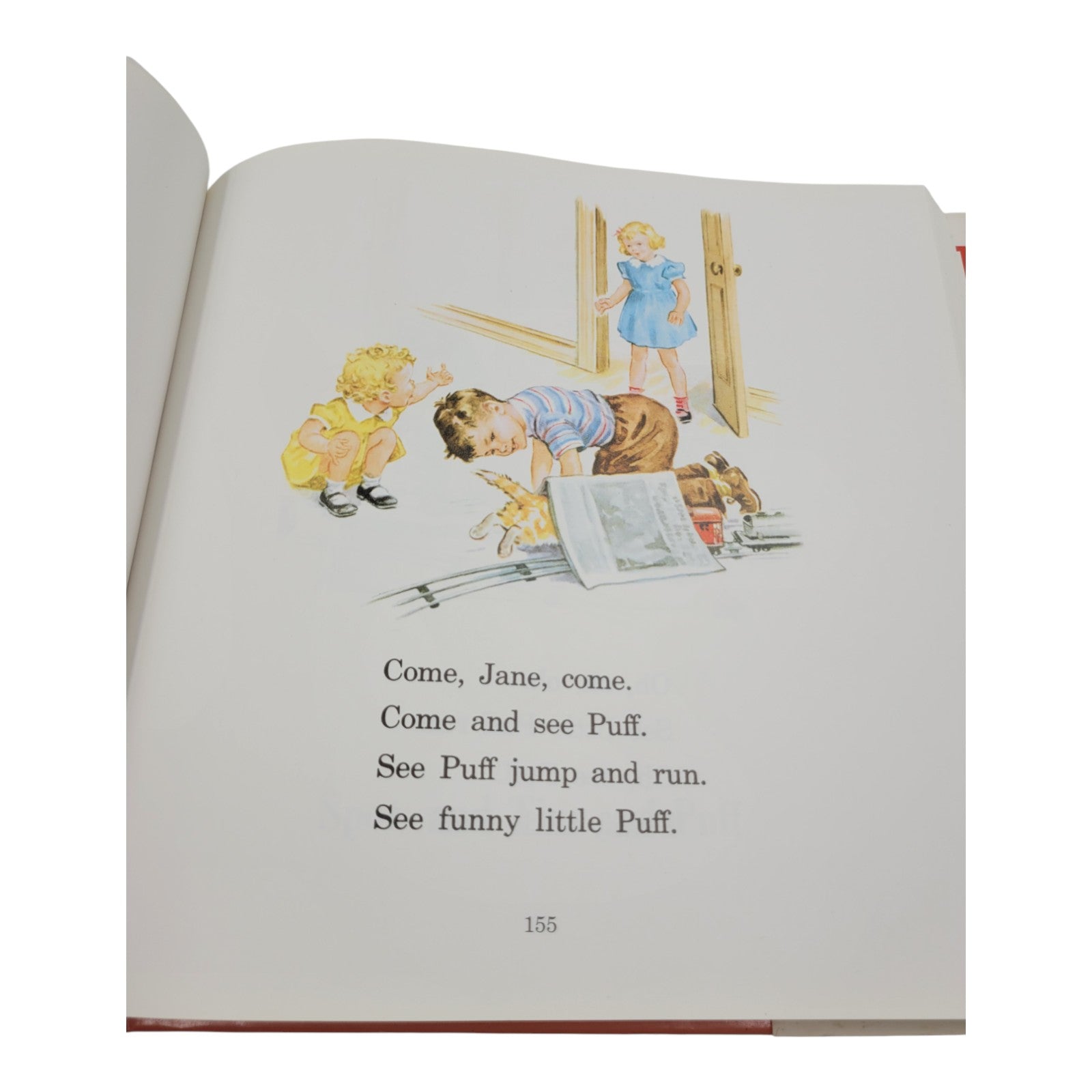 The Ultimate Dick and Jane Storybook Collection – First Edition (Vintage Hardcover)