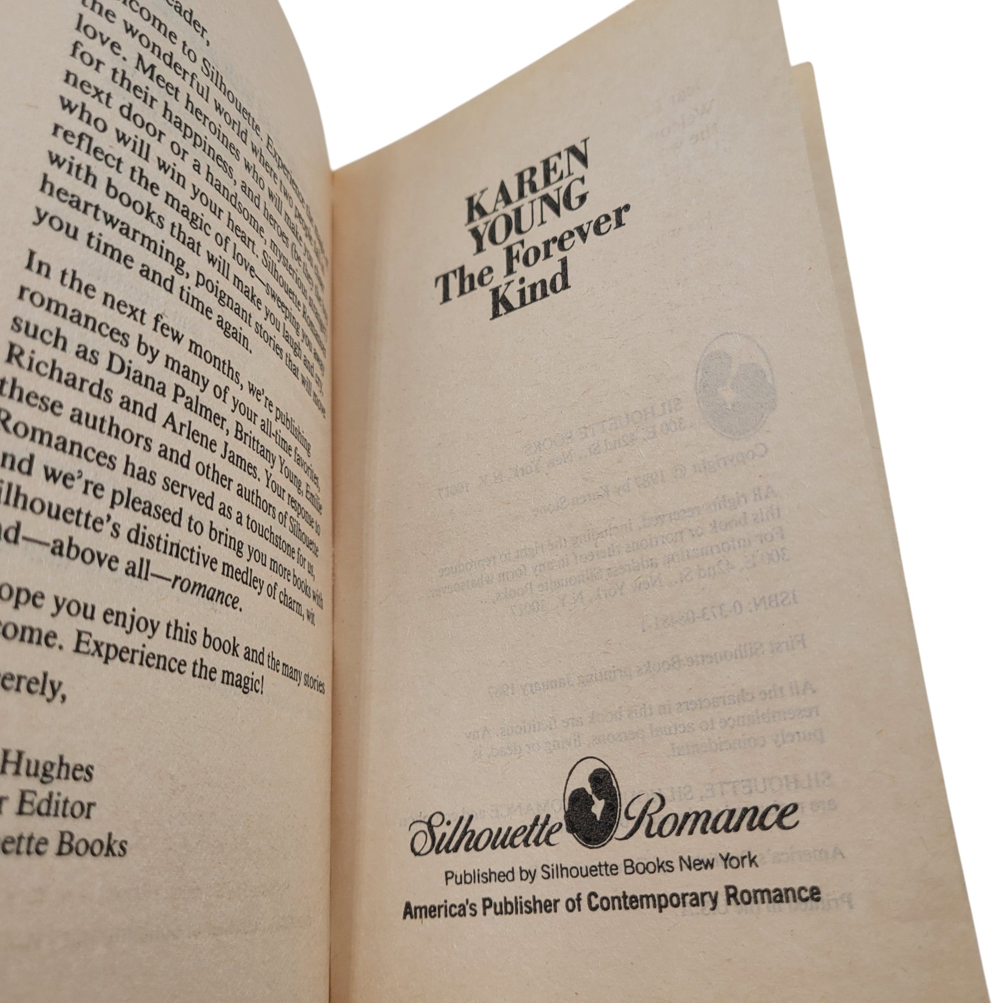 The Forever Kind by Karen Young – Vintage Paperback, Silhouette Romance #481 (1987 First Printing)