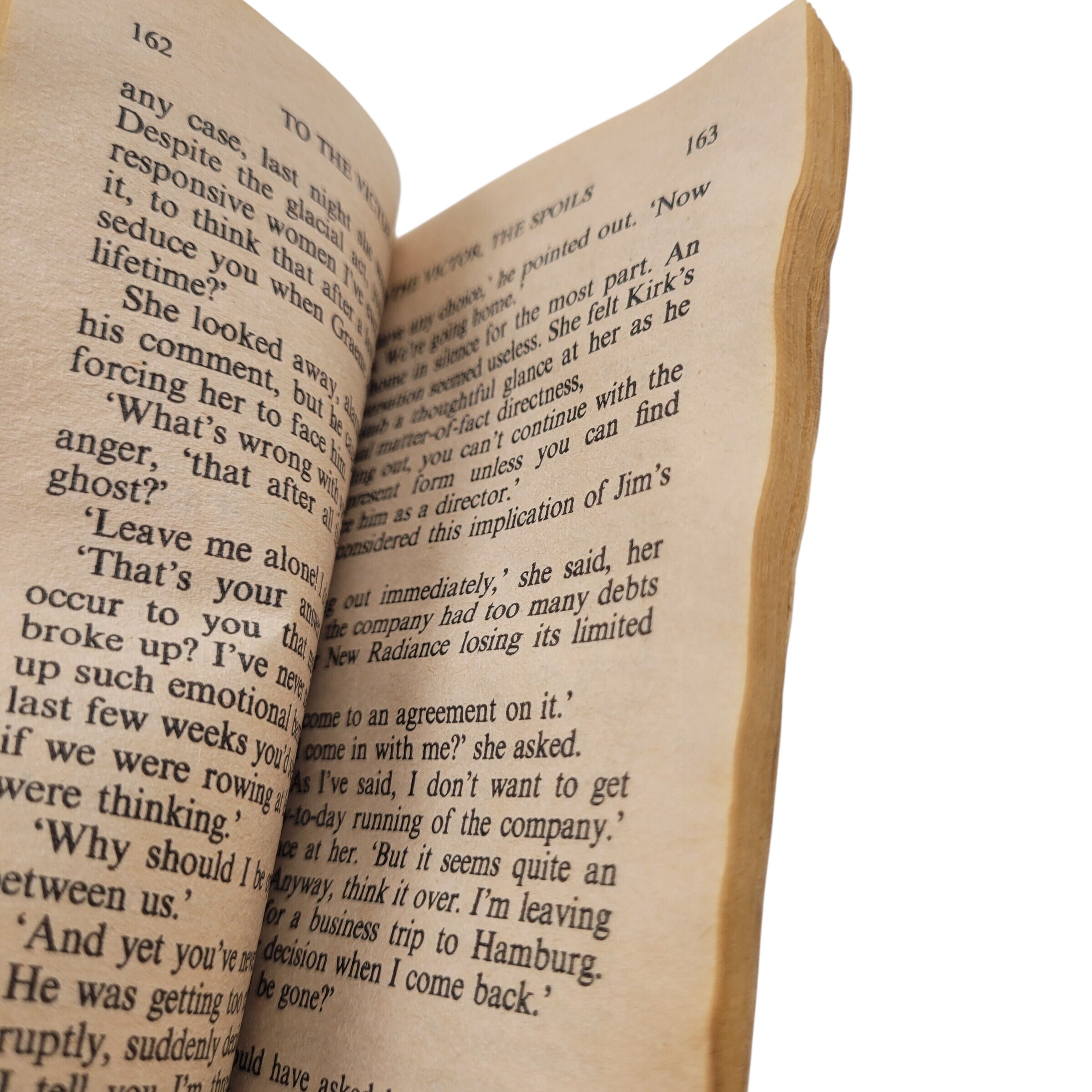 To the Victor, the Spoils – Vintage Paperback Romance by Jenny Arden (1988)