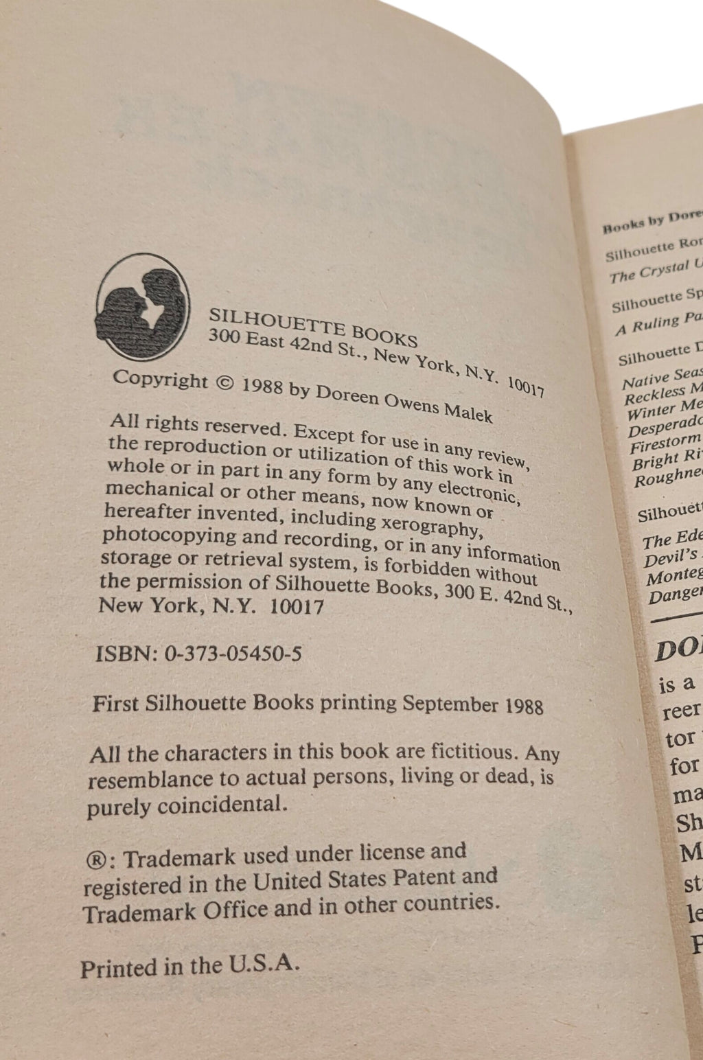Roughneck by Doreen Owens Malek – Silhouette Desire #450 – September 1988