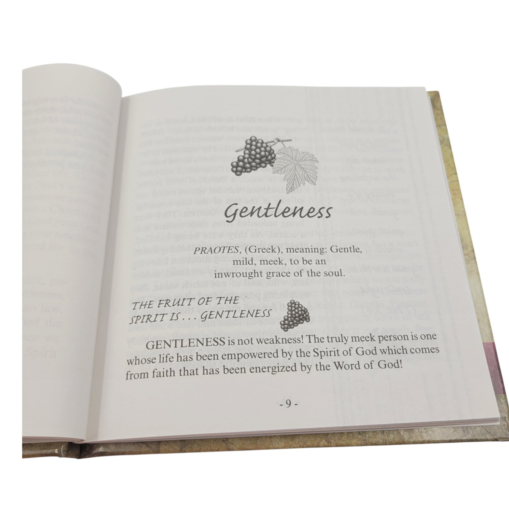 Nine Fruits of the Spirit: Gentleness by Robert Strand – Vintage Christian Devotional Hardcover